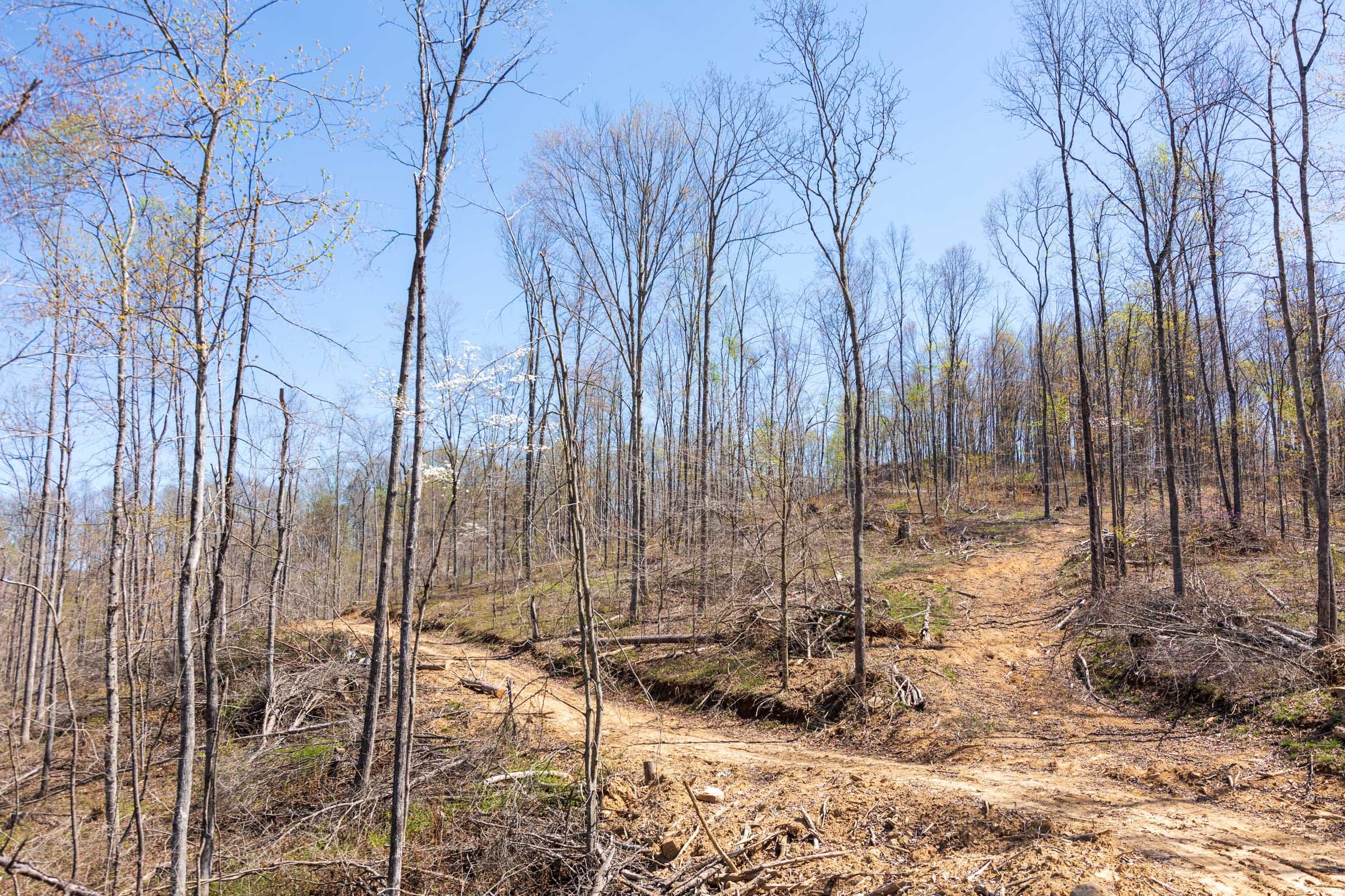 Creek Hollow Phase I Tract 45 photo 7