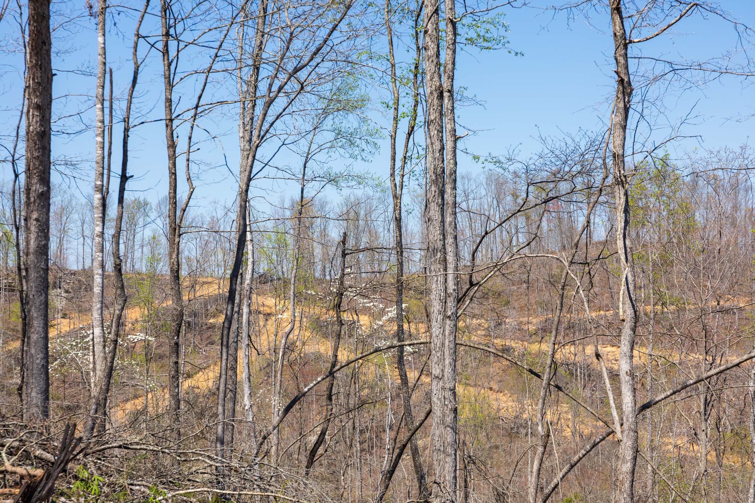 Creek Hollow Phase I Tract 45 photo 9