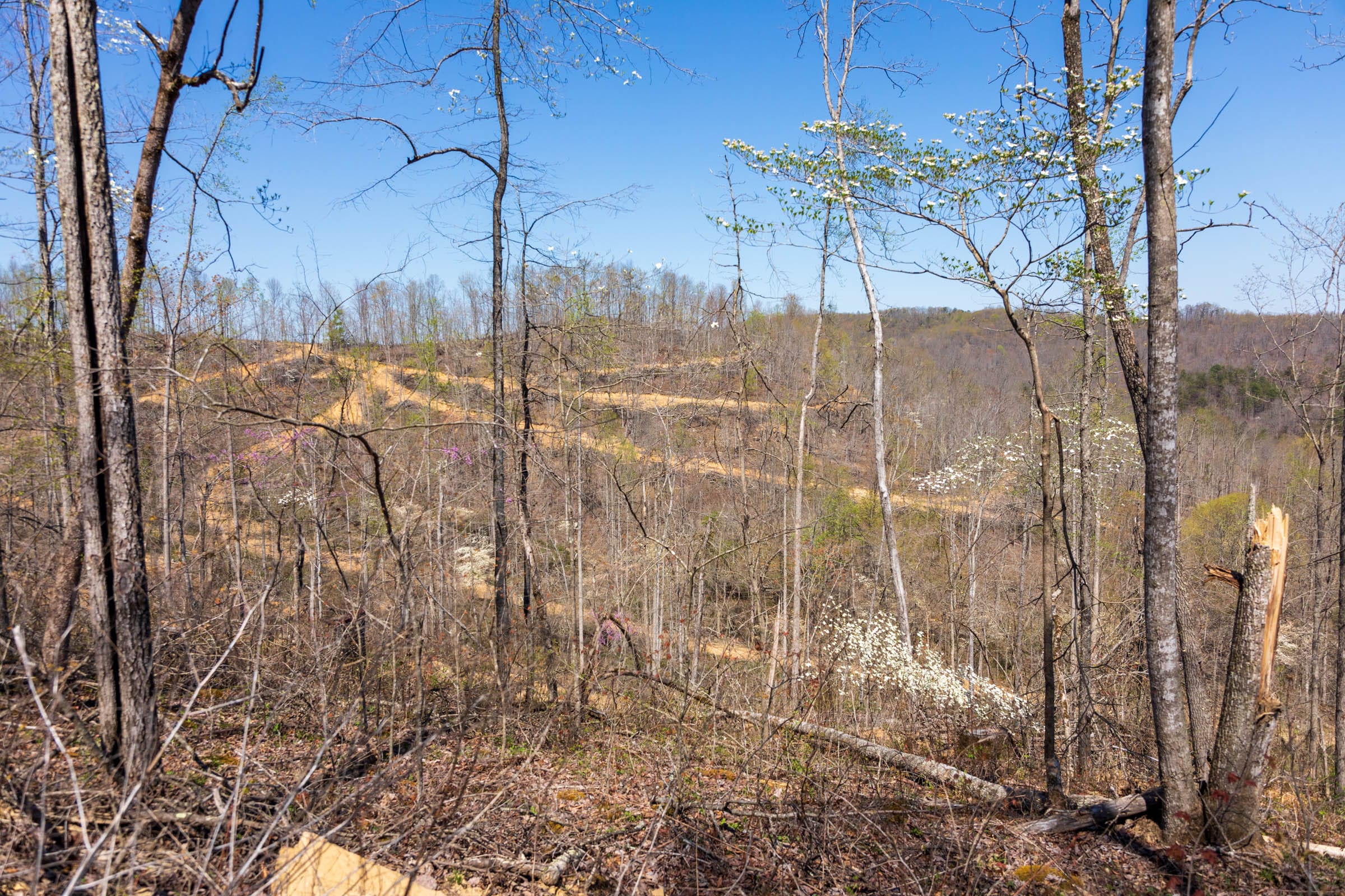 Creek Hollow Phase I Tract 45 photo 11