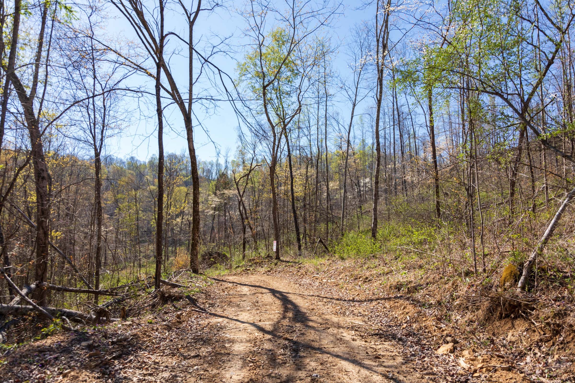 Creek Hollow Phase I Tract 45 photo 13