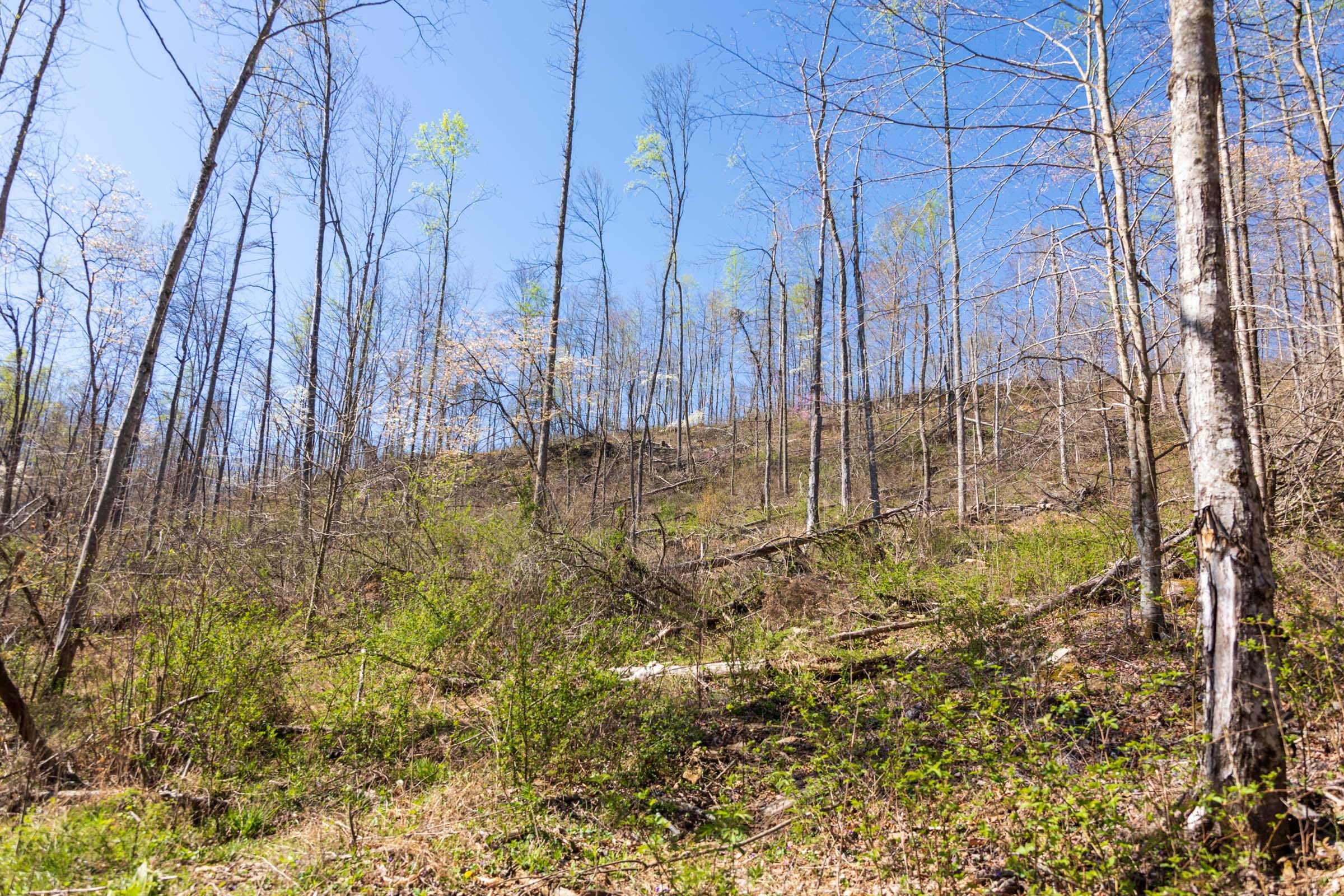 Creek Hollow Phase I Tract 45 photo 14