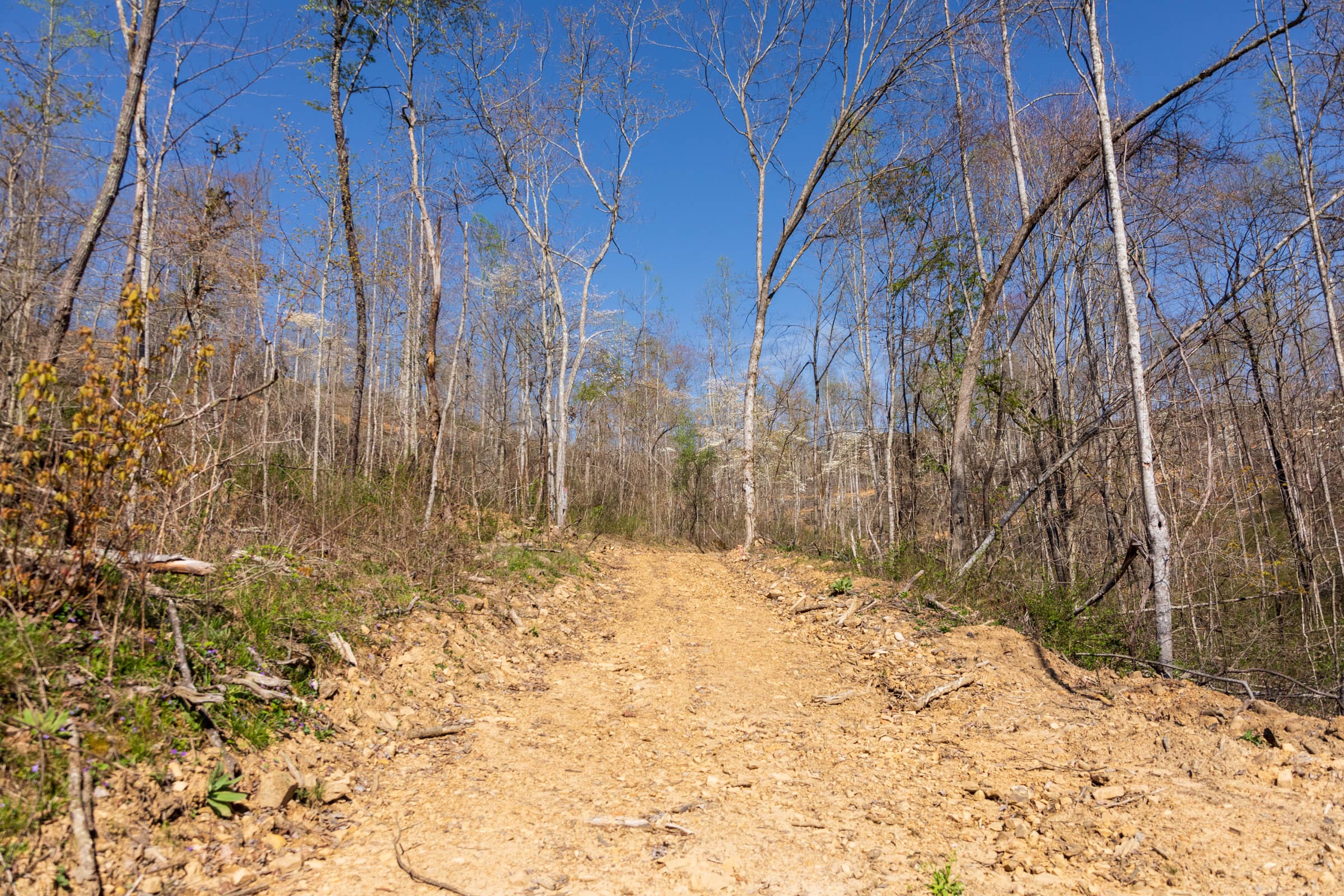 Creek Hollow Phase I Tract 45 photo 10