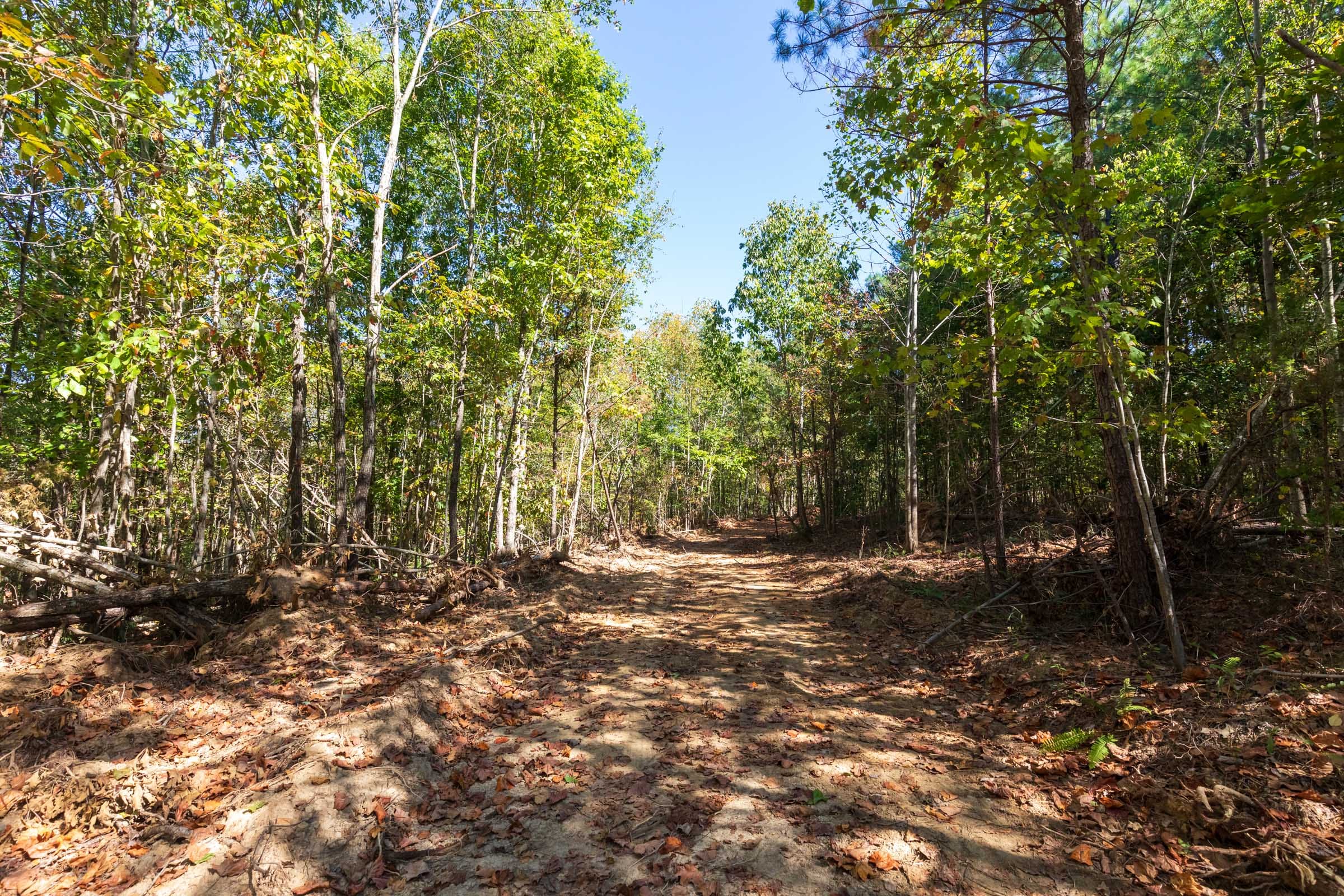 Bear Brook Tract 6 photo 6