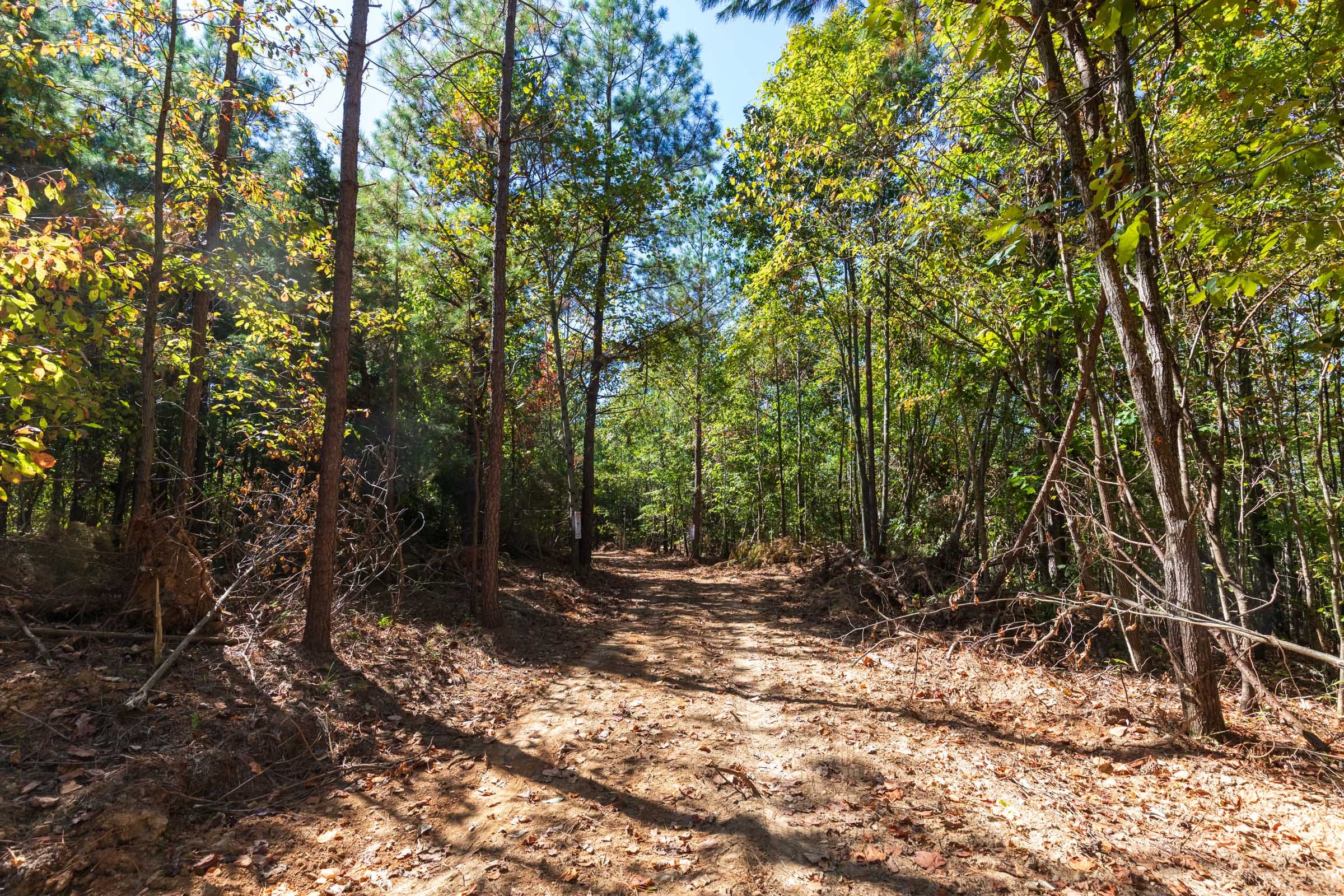 Bear Brook Tract 6 photo 1