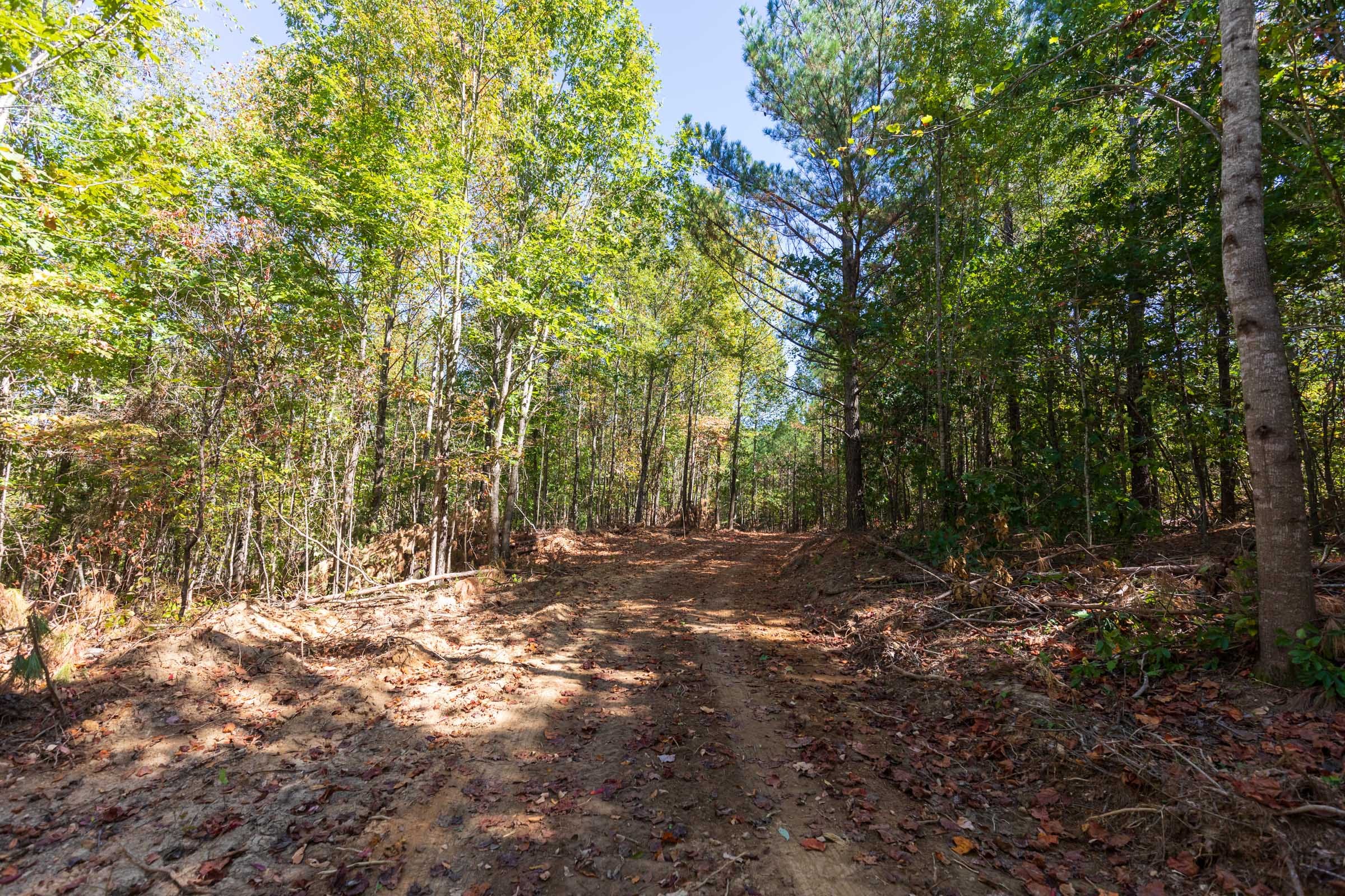 Bear Brook Tract 6 photo 9