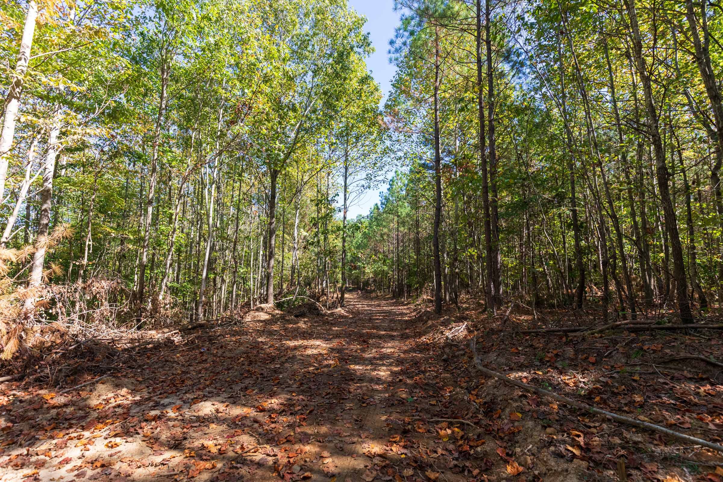 Bear Brook Tract 6 photo 12