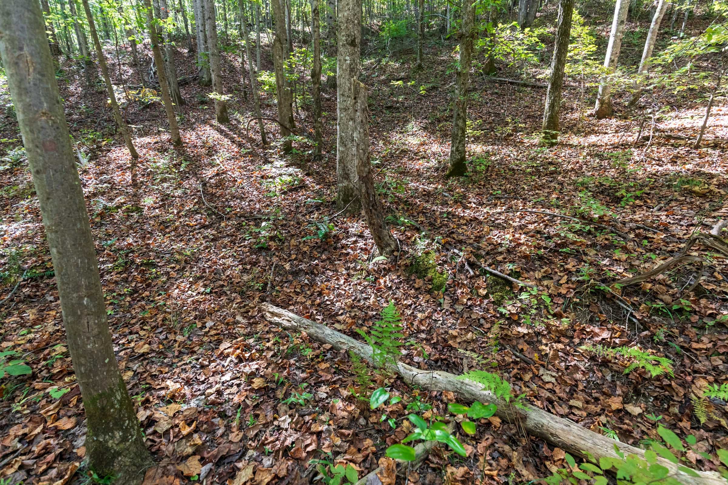 Bear Brook Tract 6 photo 11