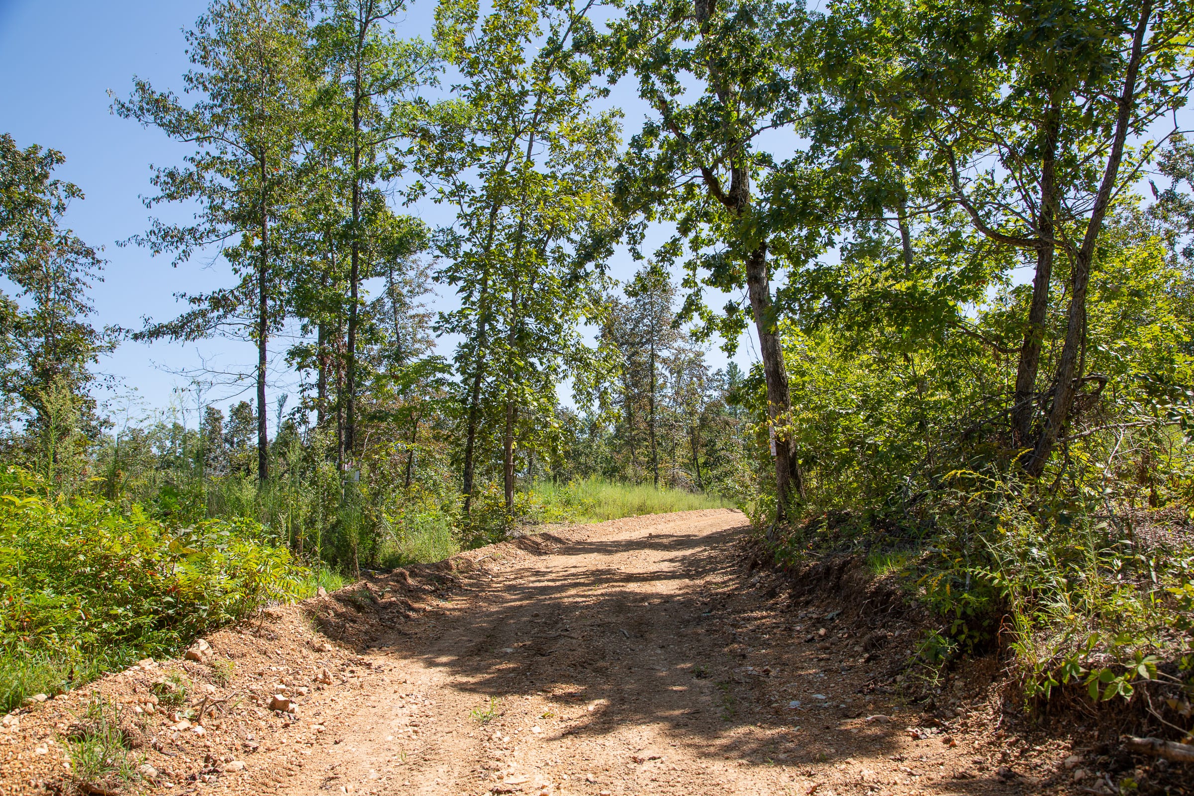 Borgmann’s Hollow Phase III Tract 88 photo 2