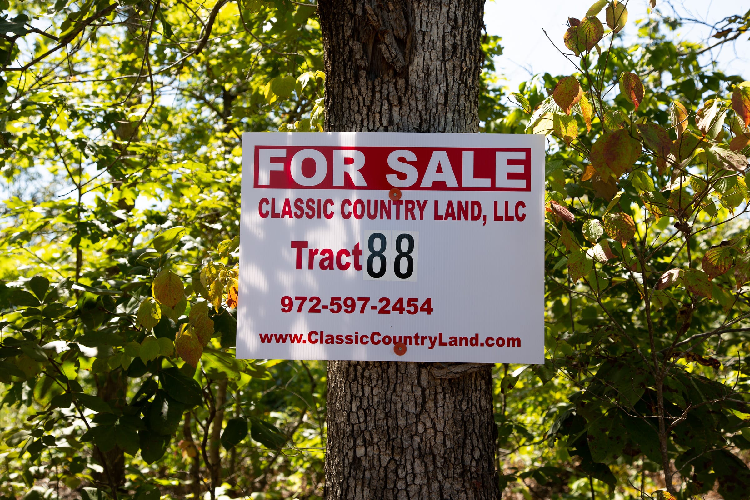 Borgmann’s Hollow Phase III Tract 88 photo 1