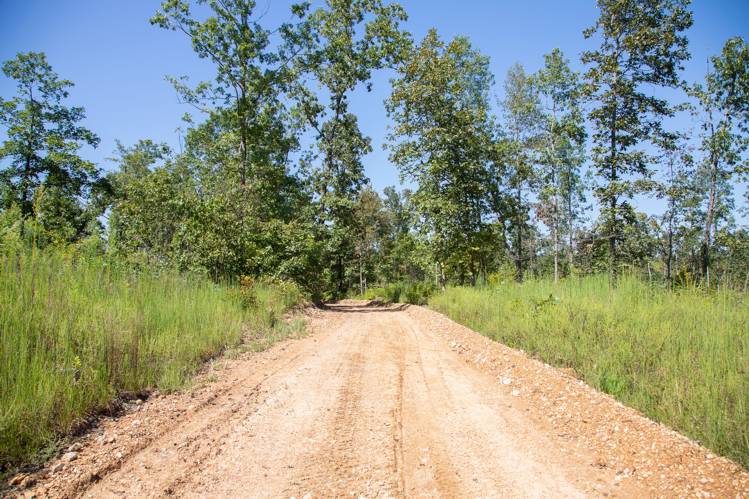 Borgmann’s Hollow Phase III Tract 88 photo 7