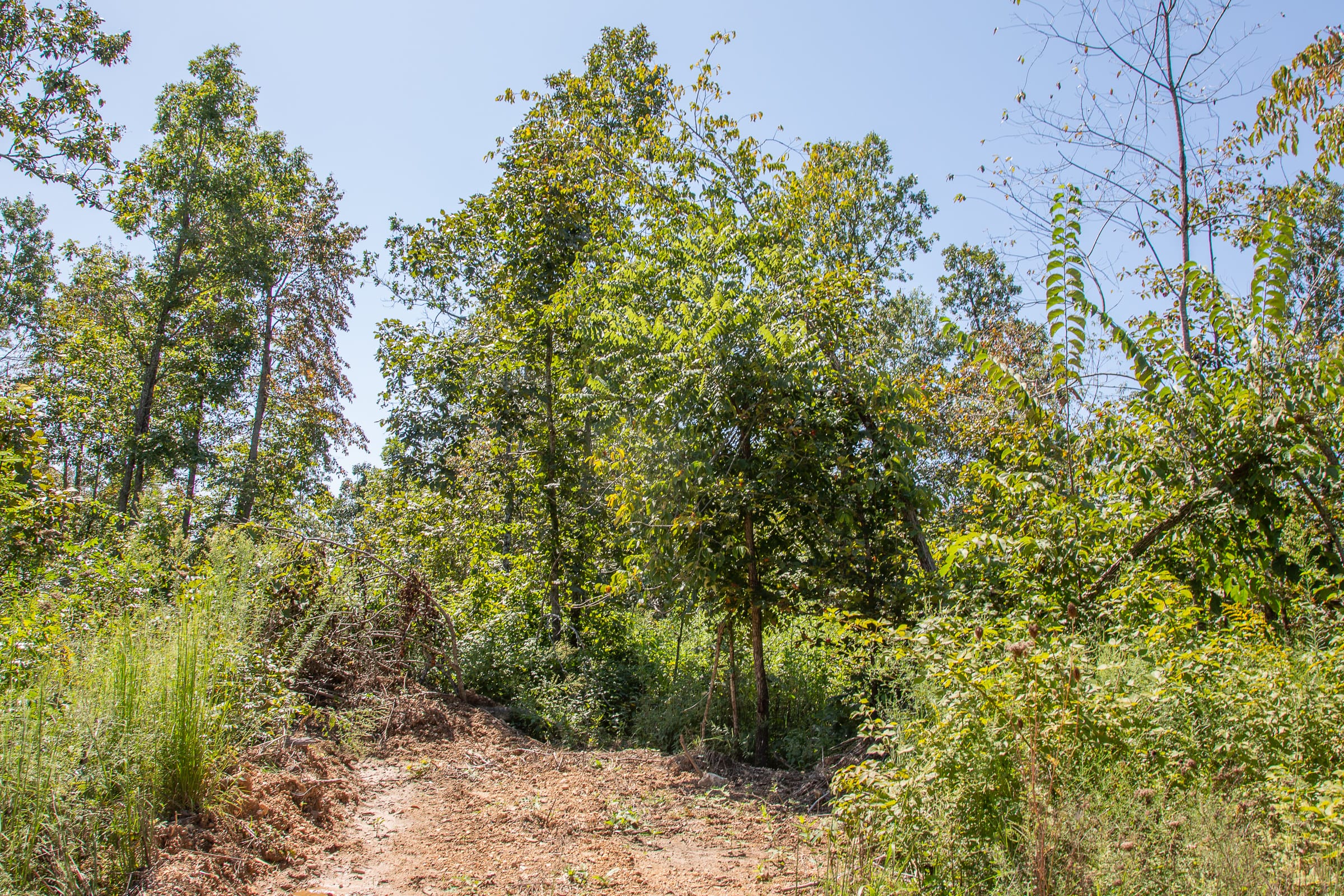 Borgmann’s Hollow Phase III Tract 88 photo 12