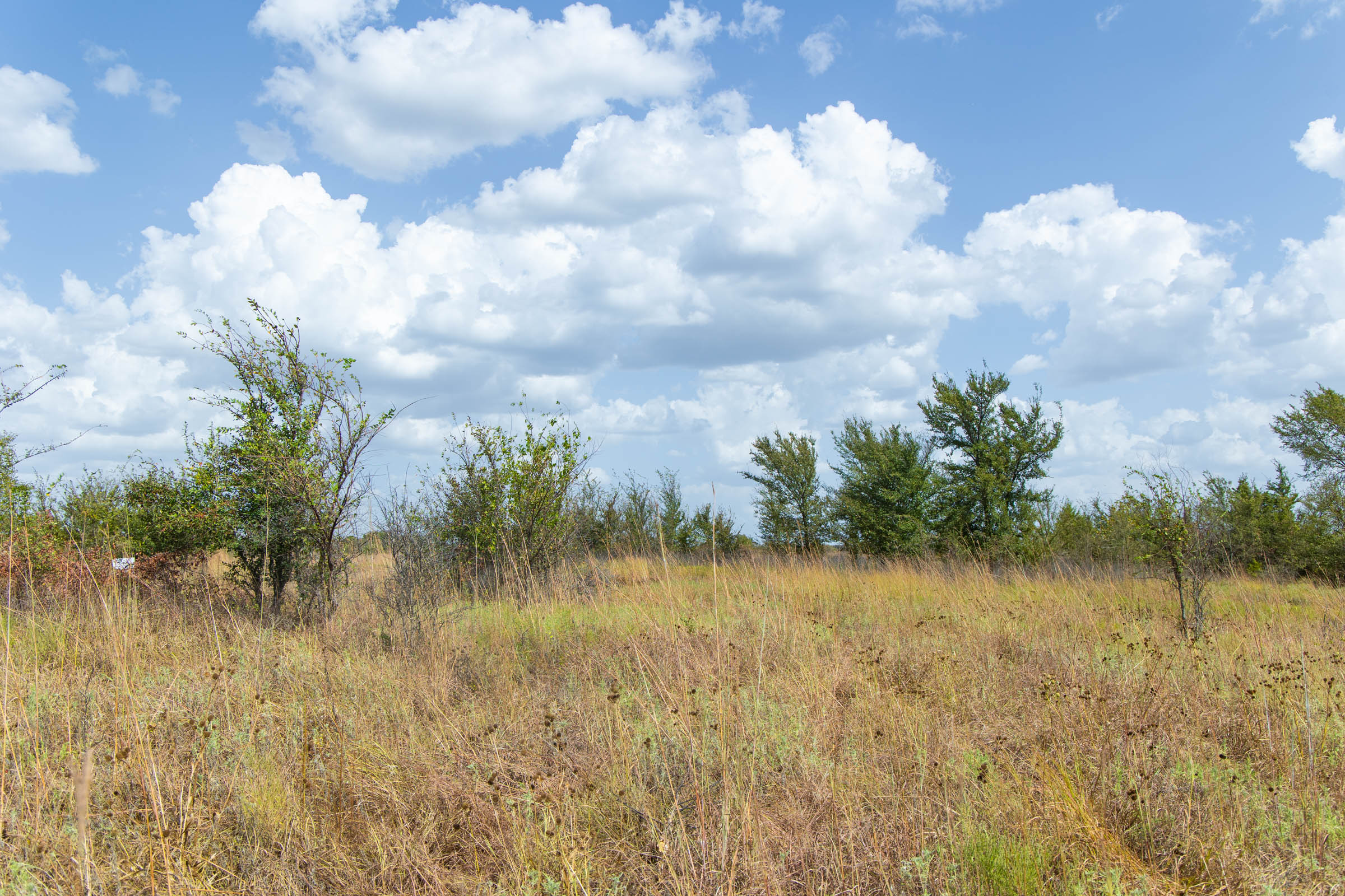 Gracyn Meadows Tract 6 photo 16