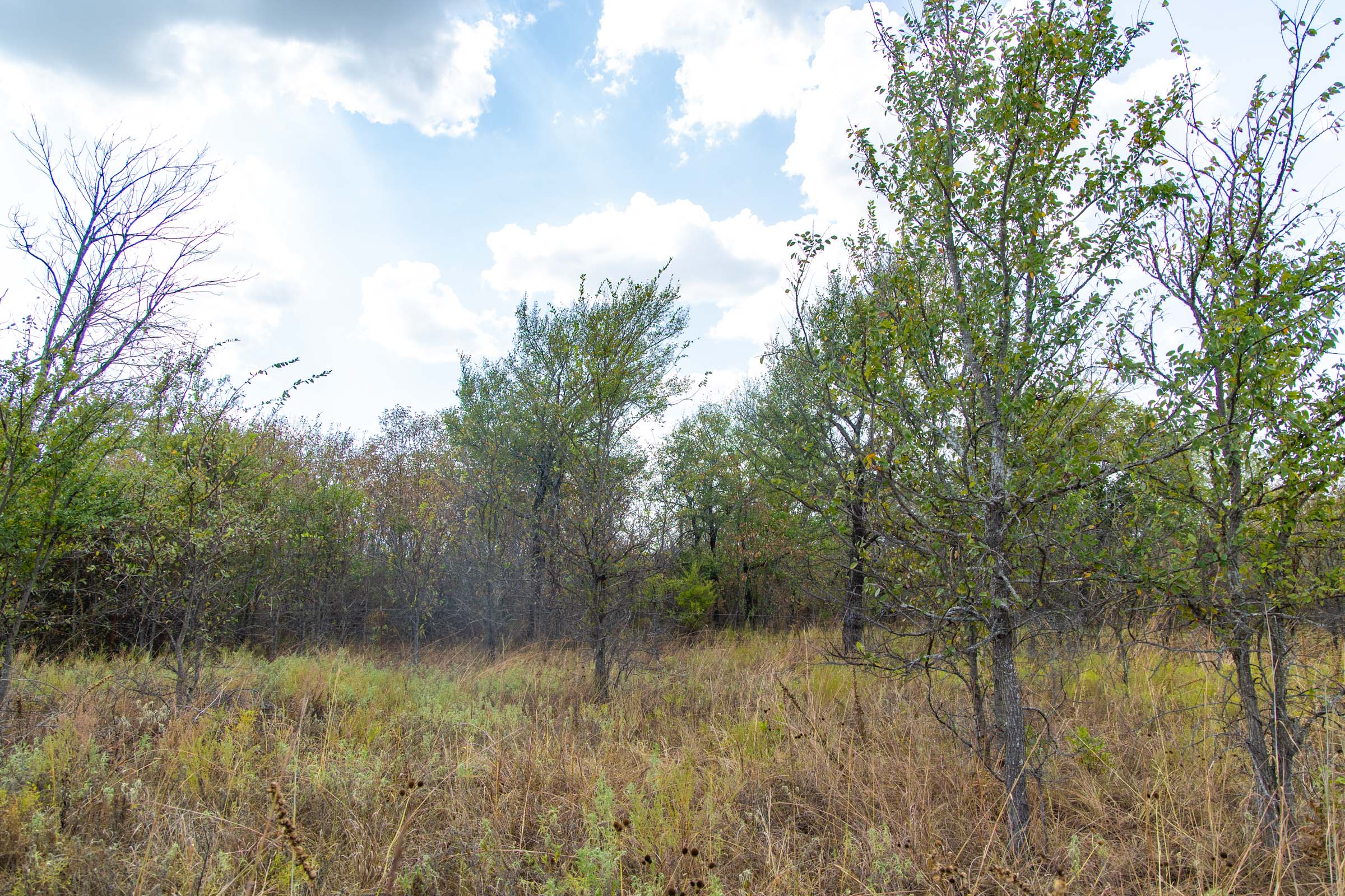 Gracyn Meadows Tract 6 photo 15