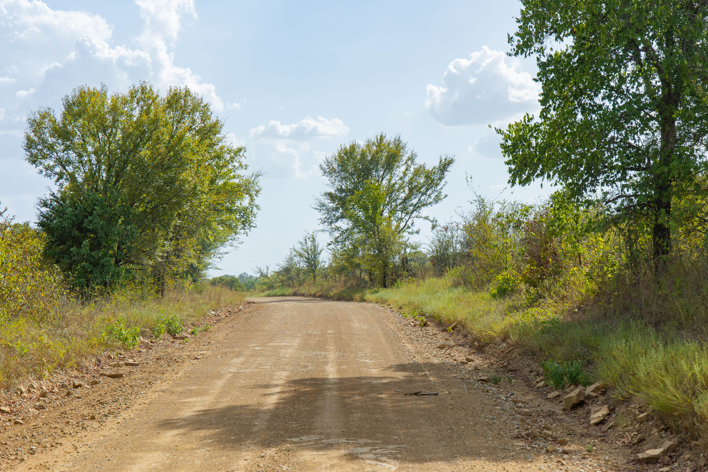 Gracyn Meadows Tract 6 photo 6