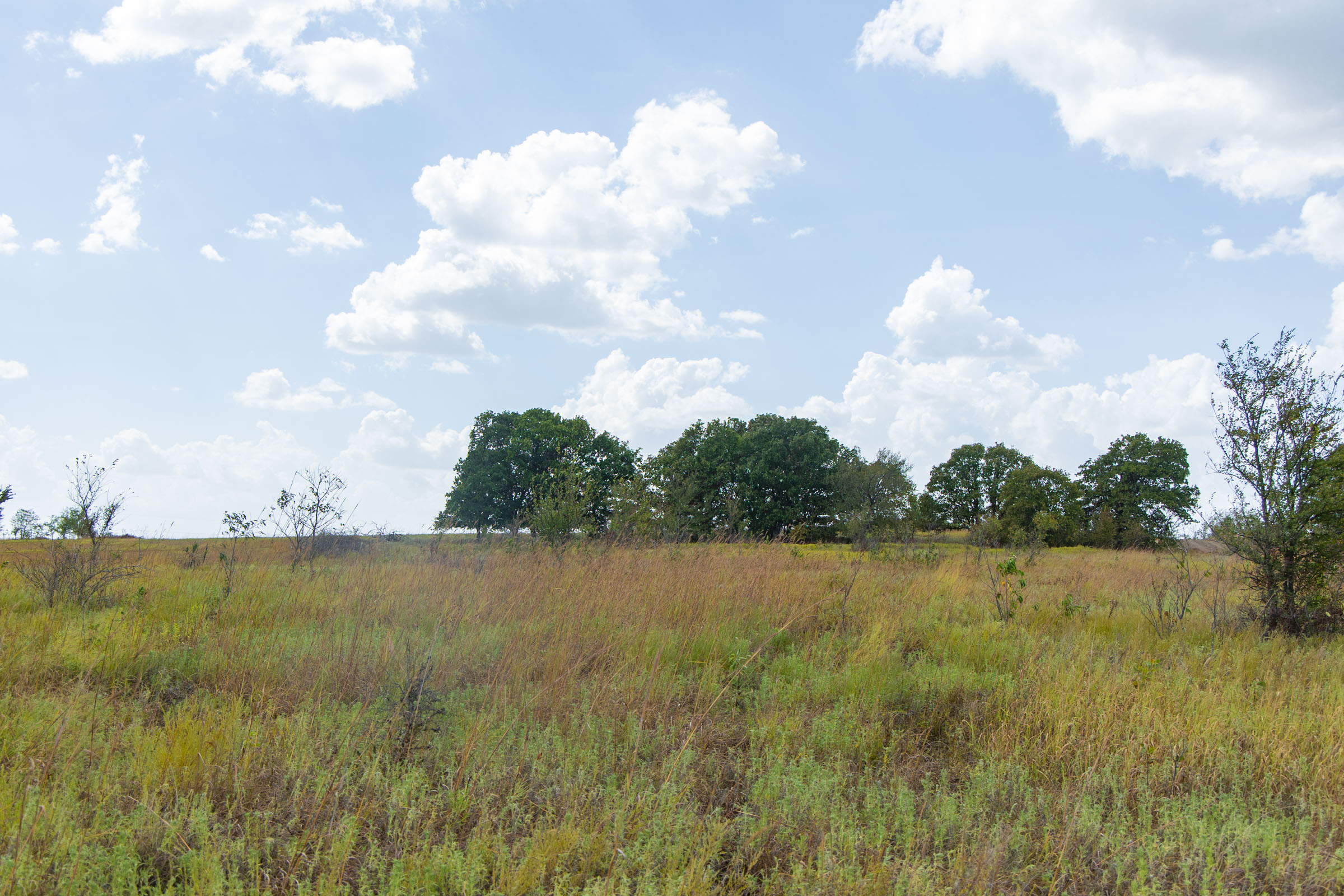 Gracyn Meadows Tract 6 photo 12