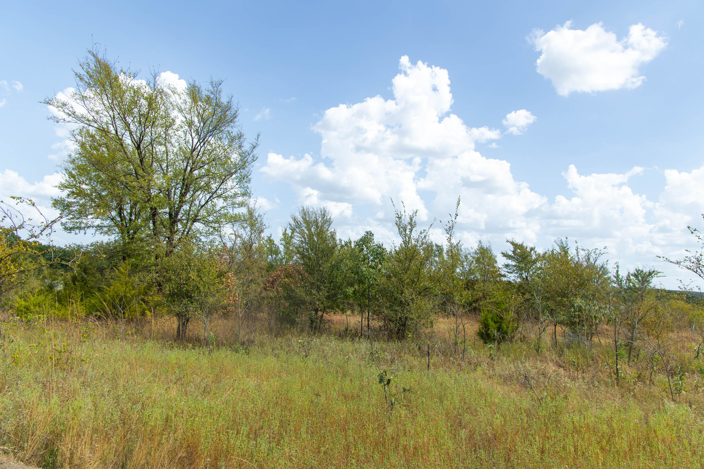 Gracyn Meadows Tract 6 photo 5