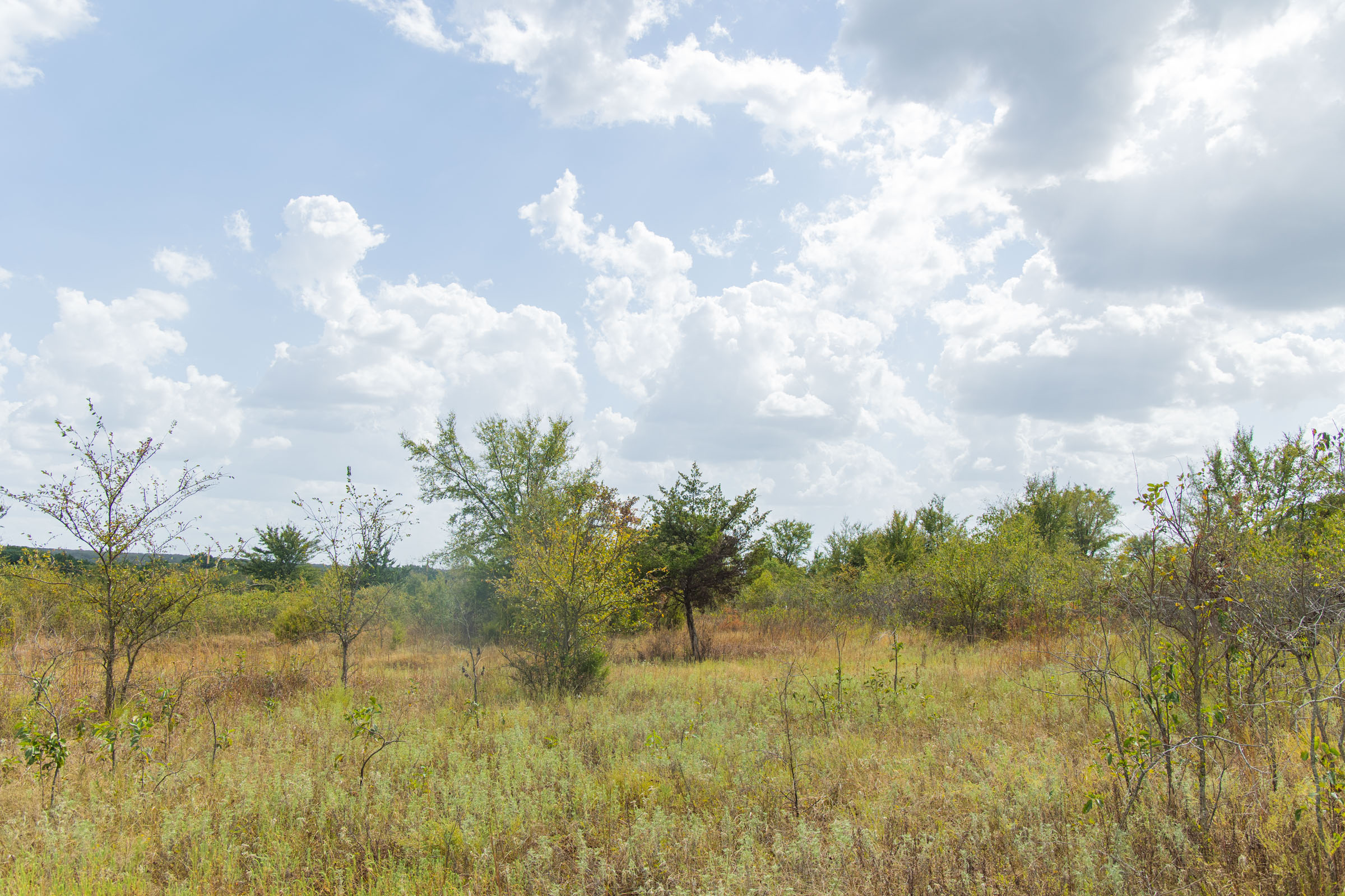 Gracyn Meadows Tract 6 photo 2