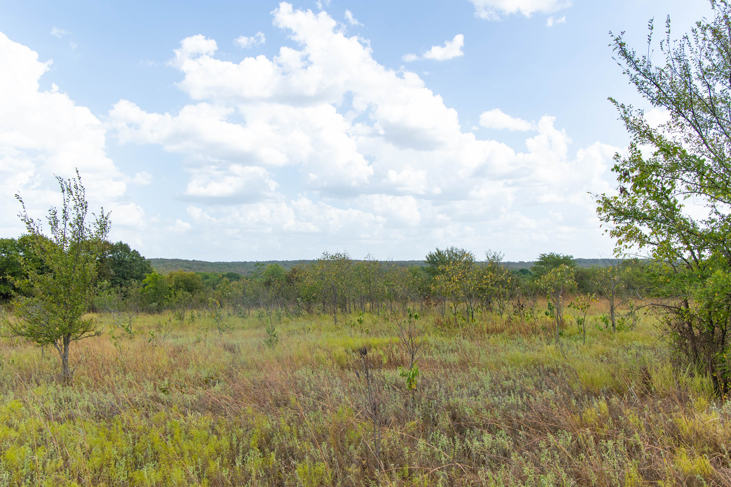Gracyn Meadows Tract 6 photo 4