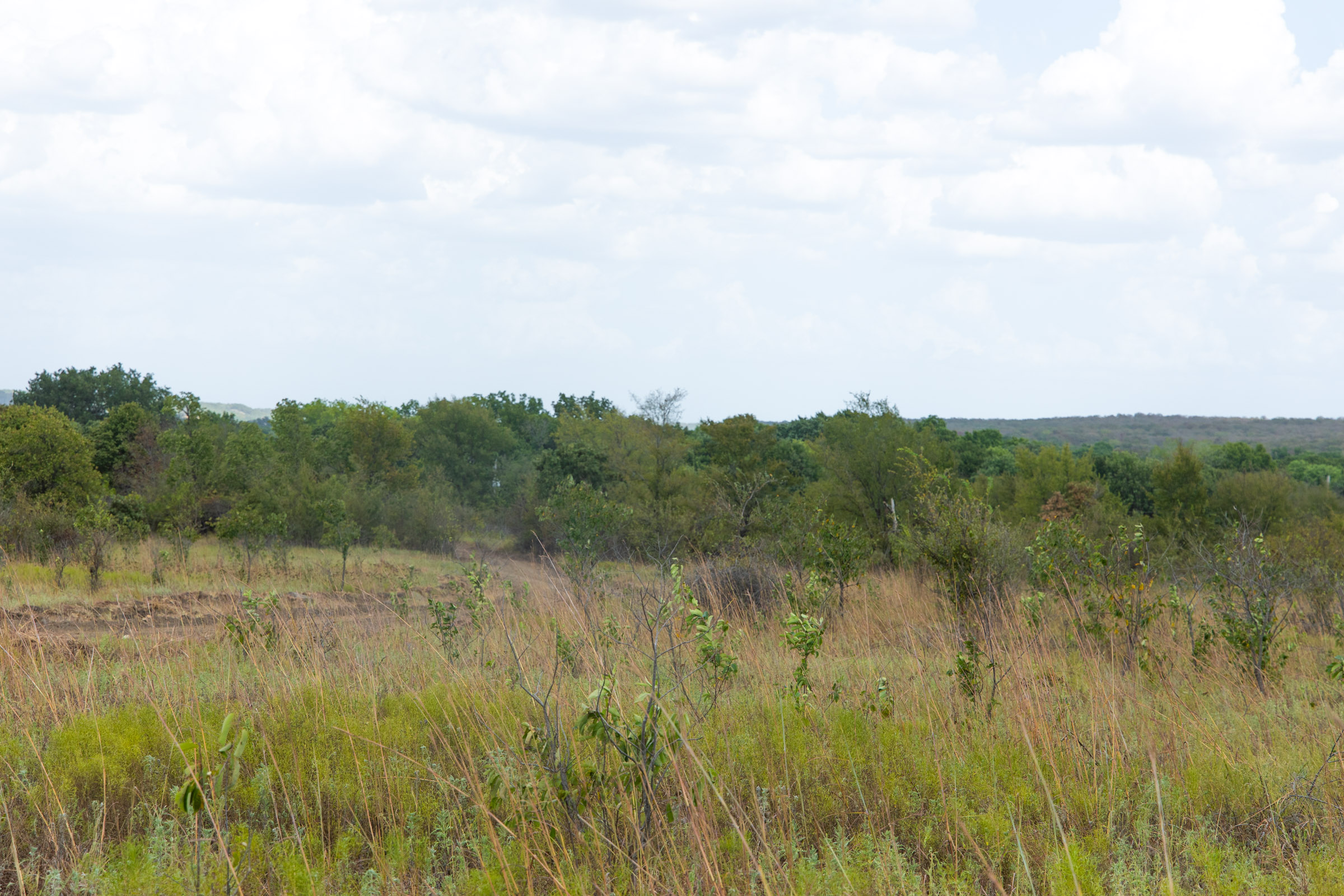 Gracyn Meadows Tract 6 photo 10
