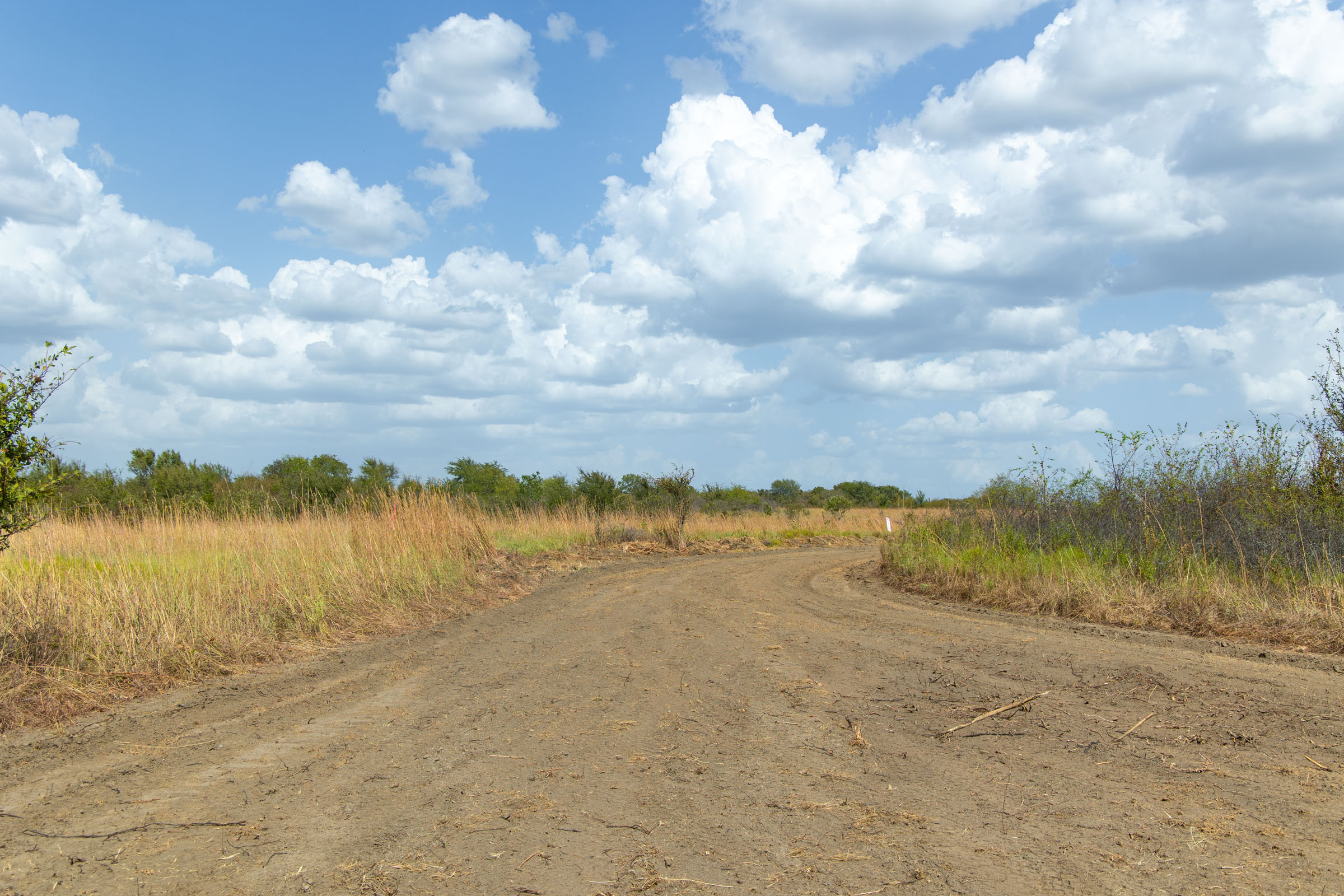 Gracyn Meadows Tract 6 photo 13