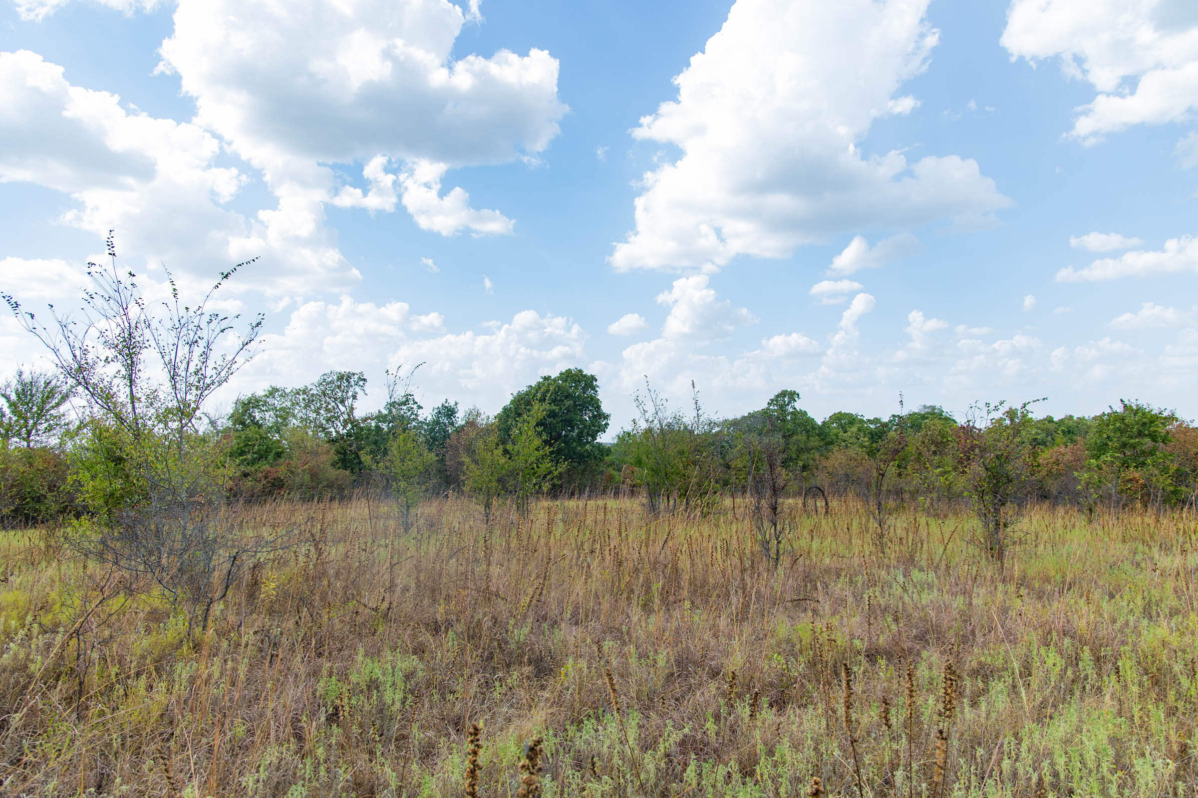Gracyn Meadows Tract 6 photo 14