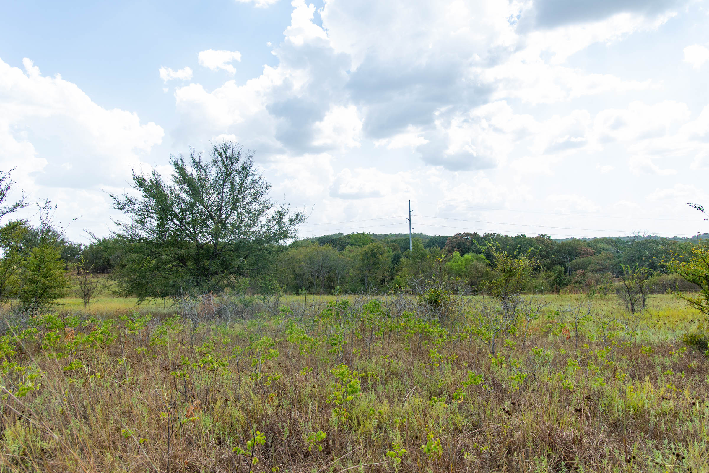 Gracyn Meadows Tract 6 photo 11