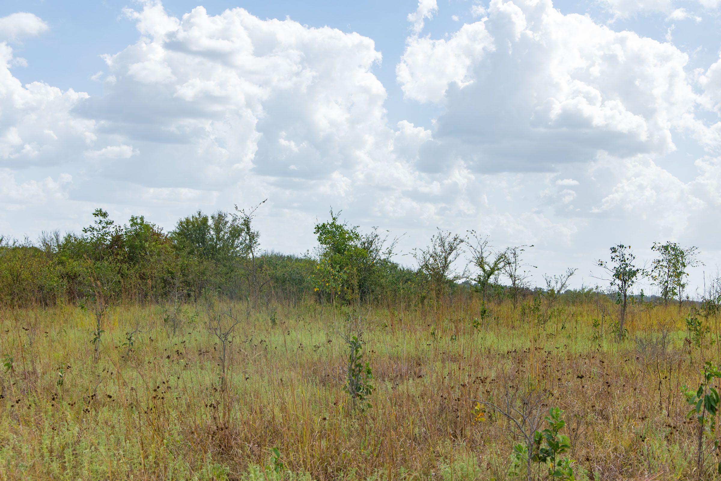 Gracyn Meadows Tract 6 photo 7