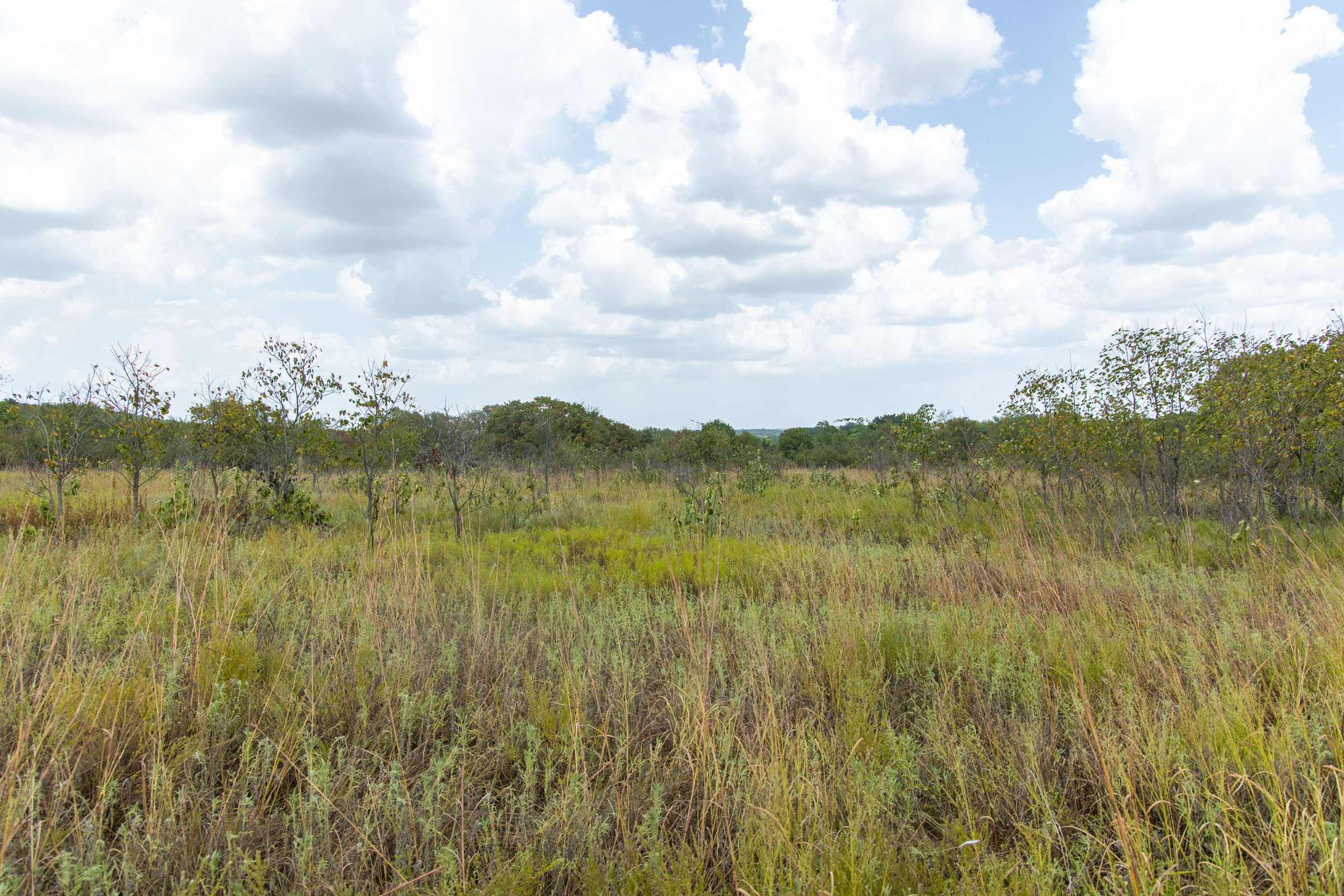 Gracyn Meadows Tract 6 photo 3
