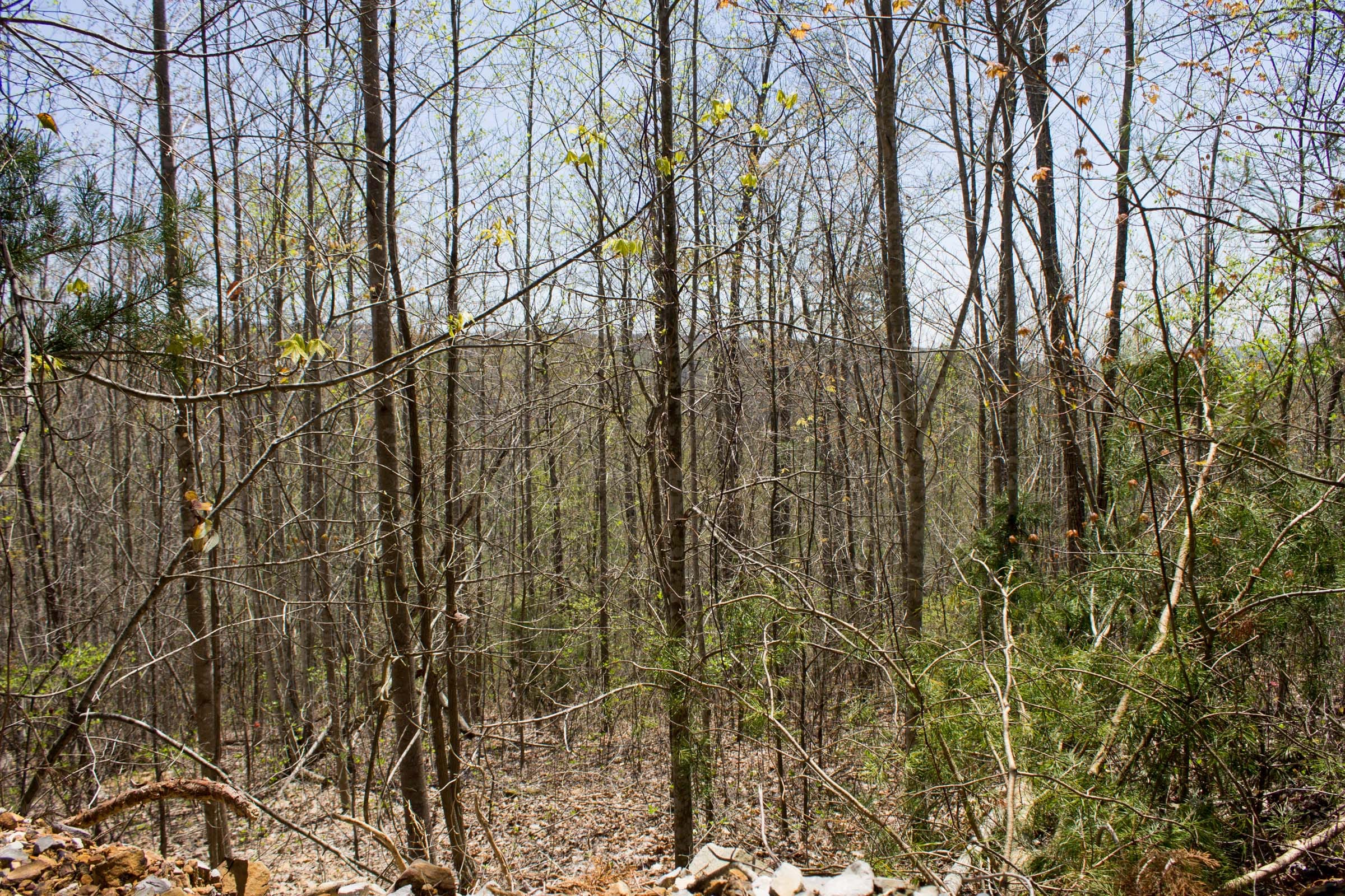 Hidden Hills Tract 8 photo 2