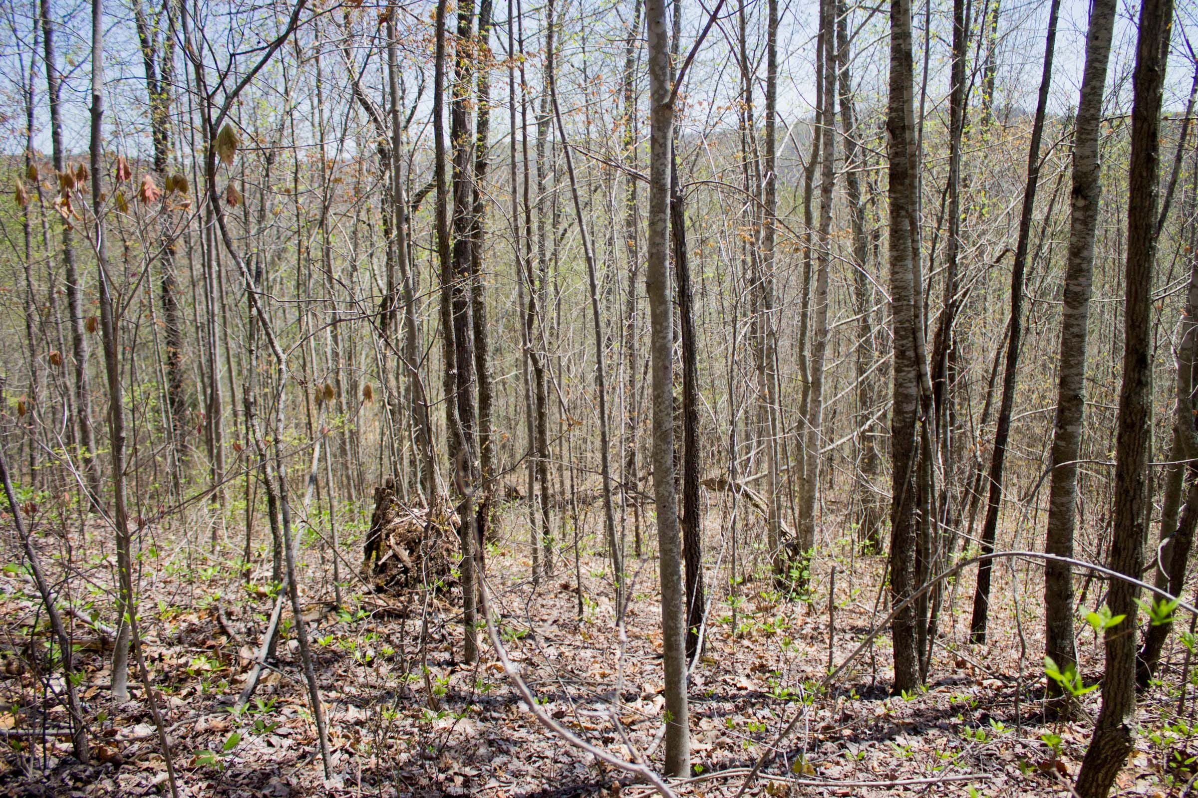 Hidden Hills Tract 8 photo 4