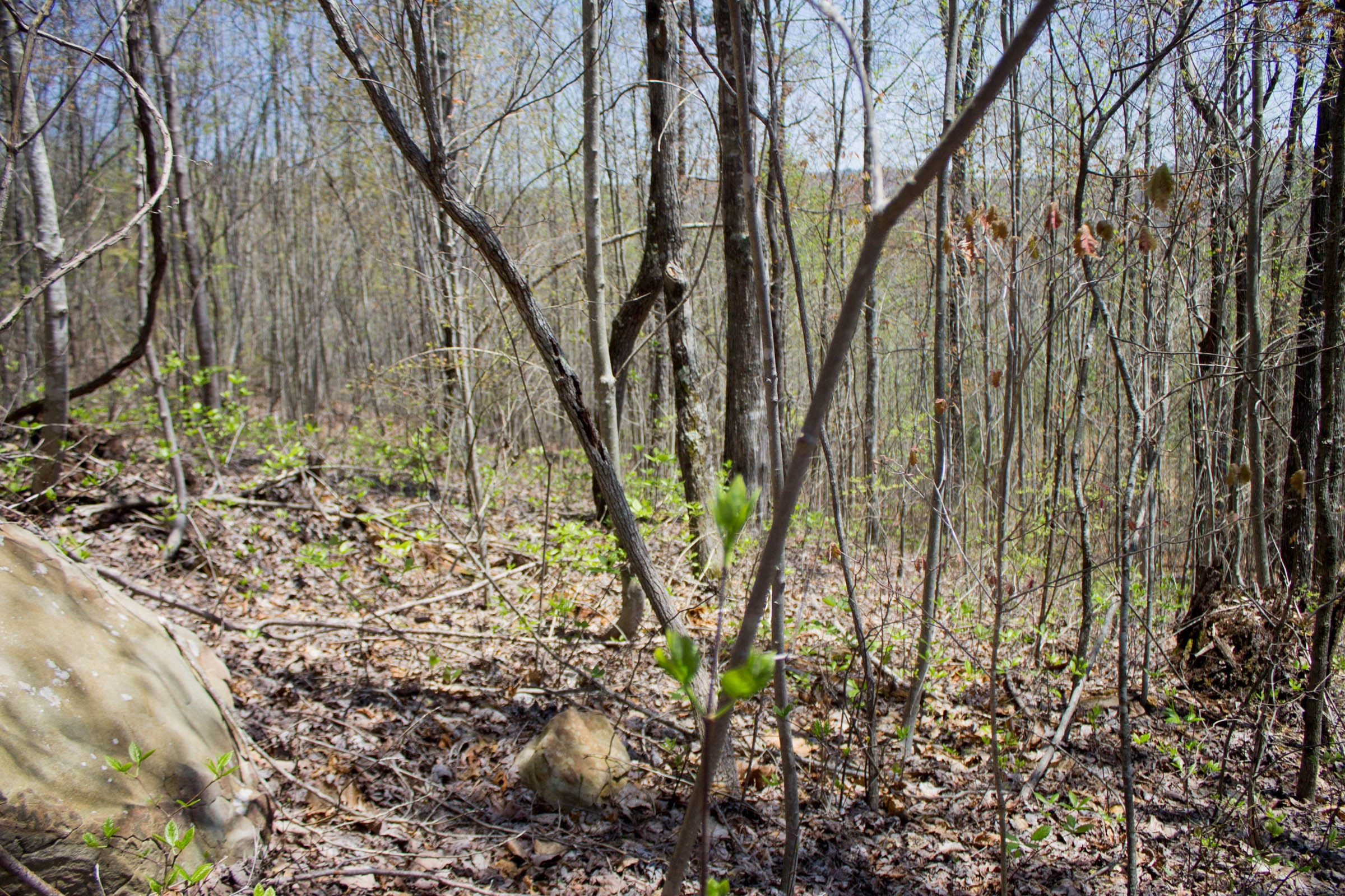 Hidden Hills Tract 8 photo 5