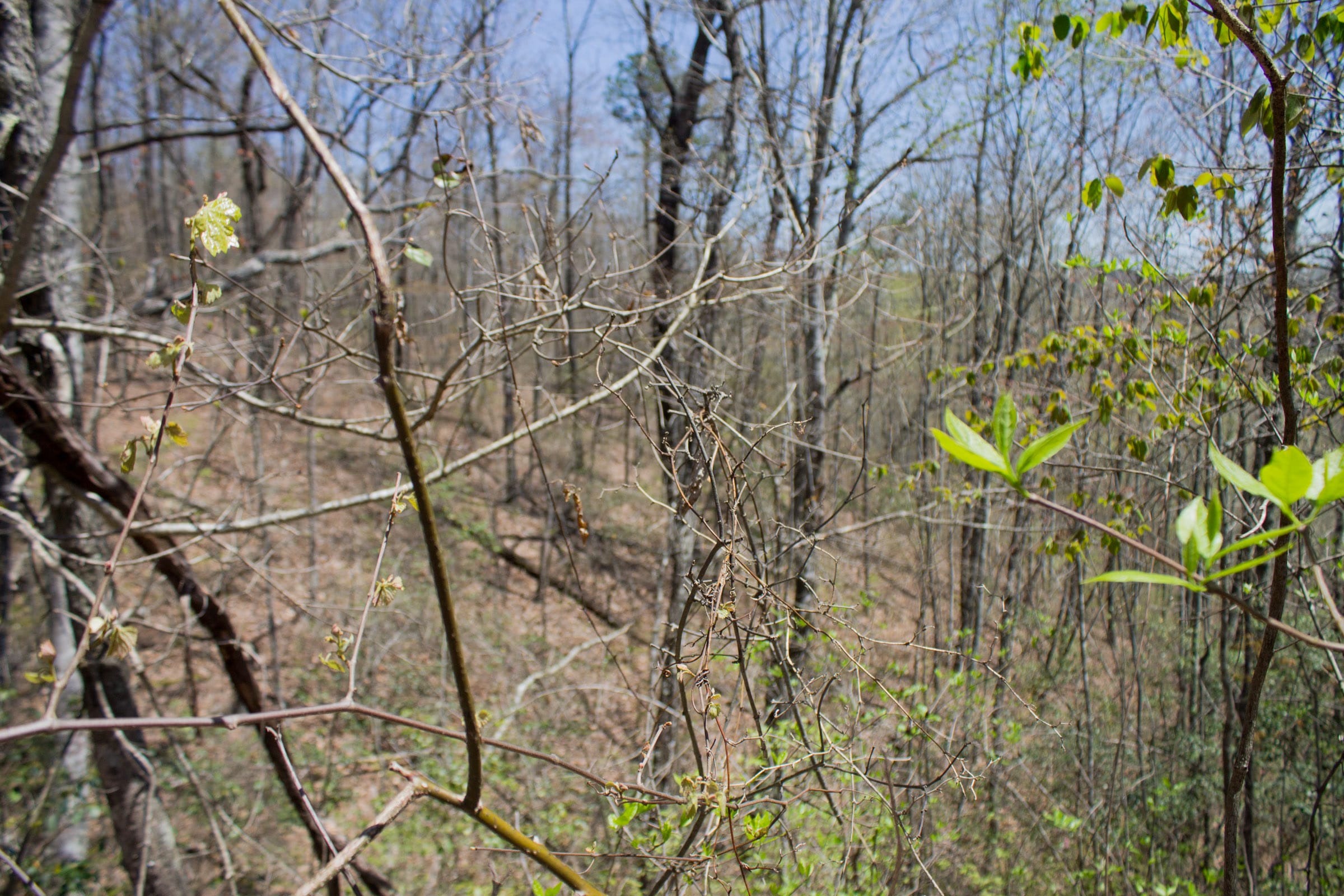 Hidden Hills Tract 8 photo 6