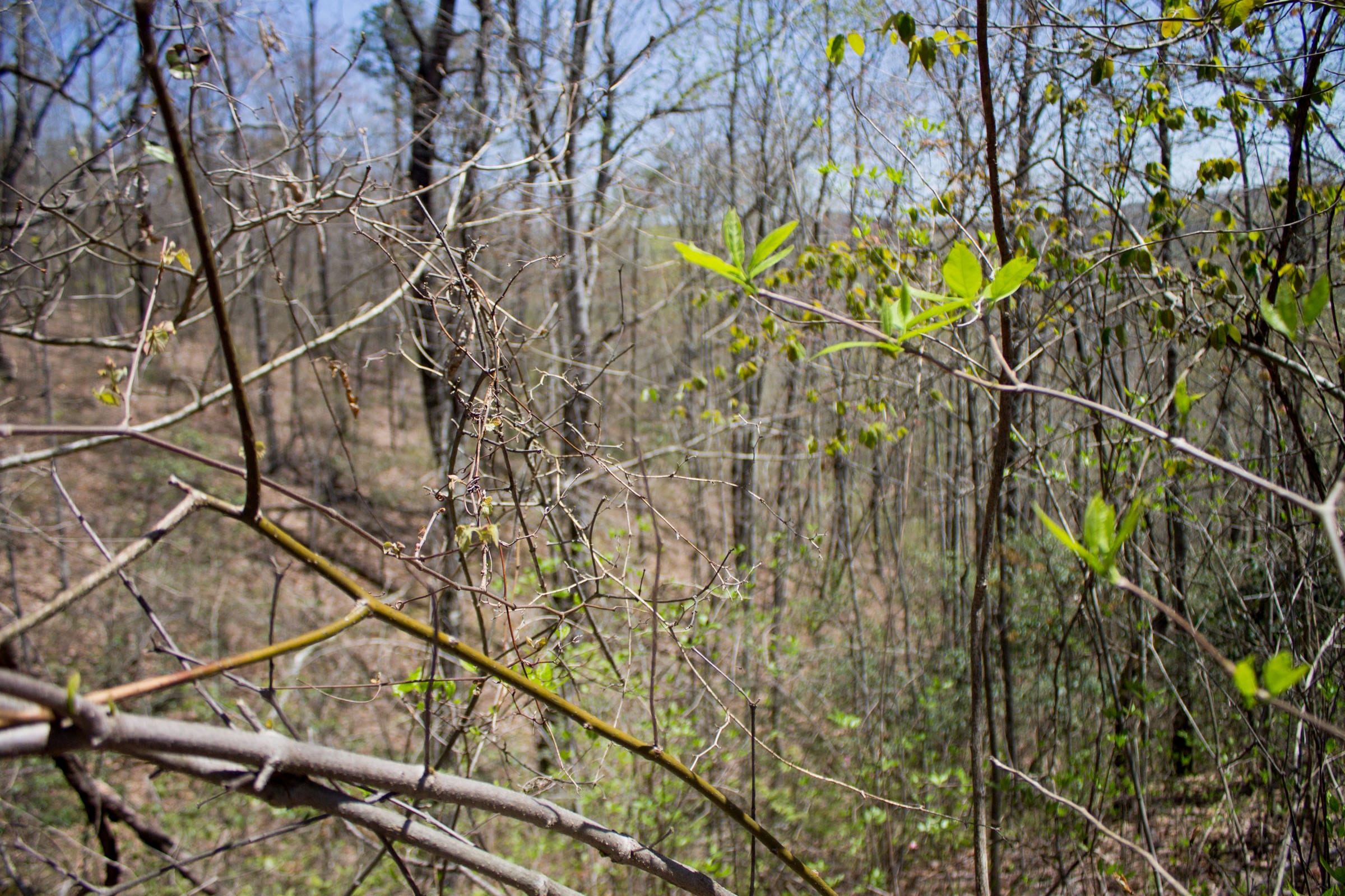 Hidden Hills Tract 8 photo 7