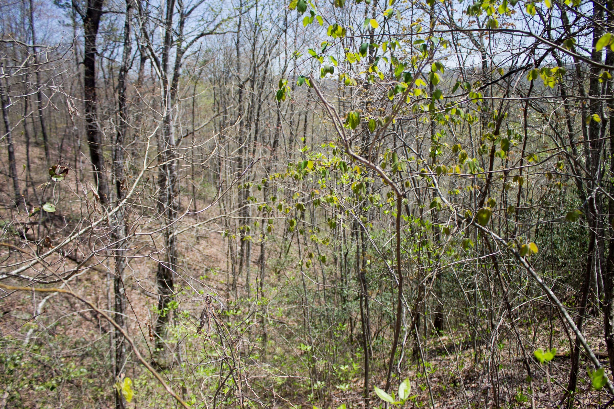 Hidden Hills Tract 8 photo 9