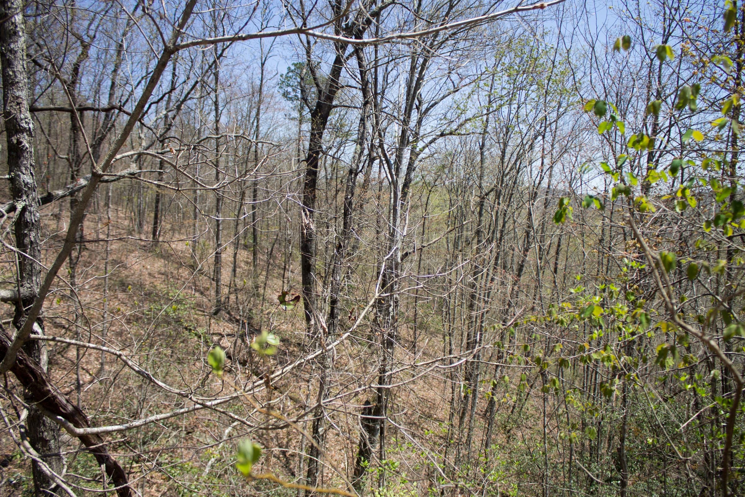 Hidden Hills Tract 8 photo 10