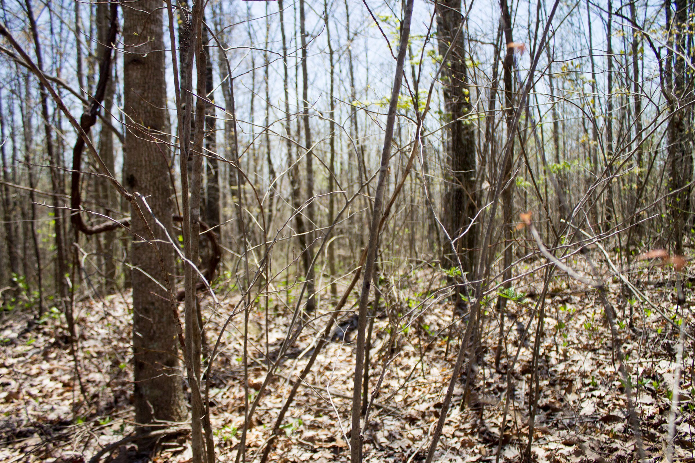 Hidden Hills Tract 8 photo 12