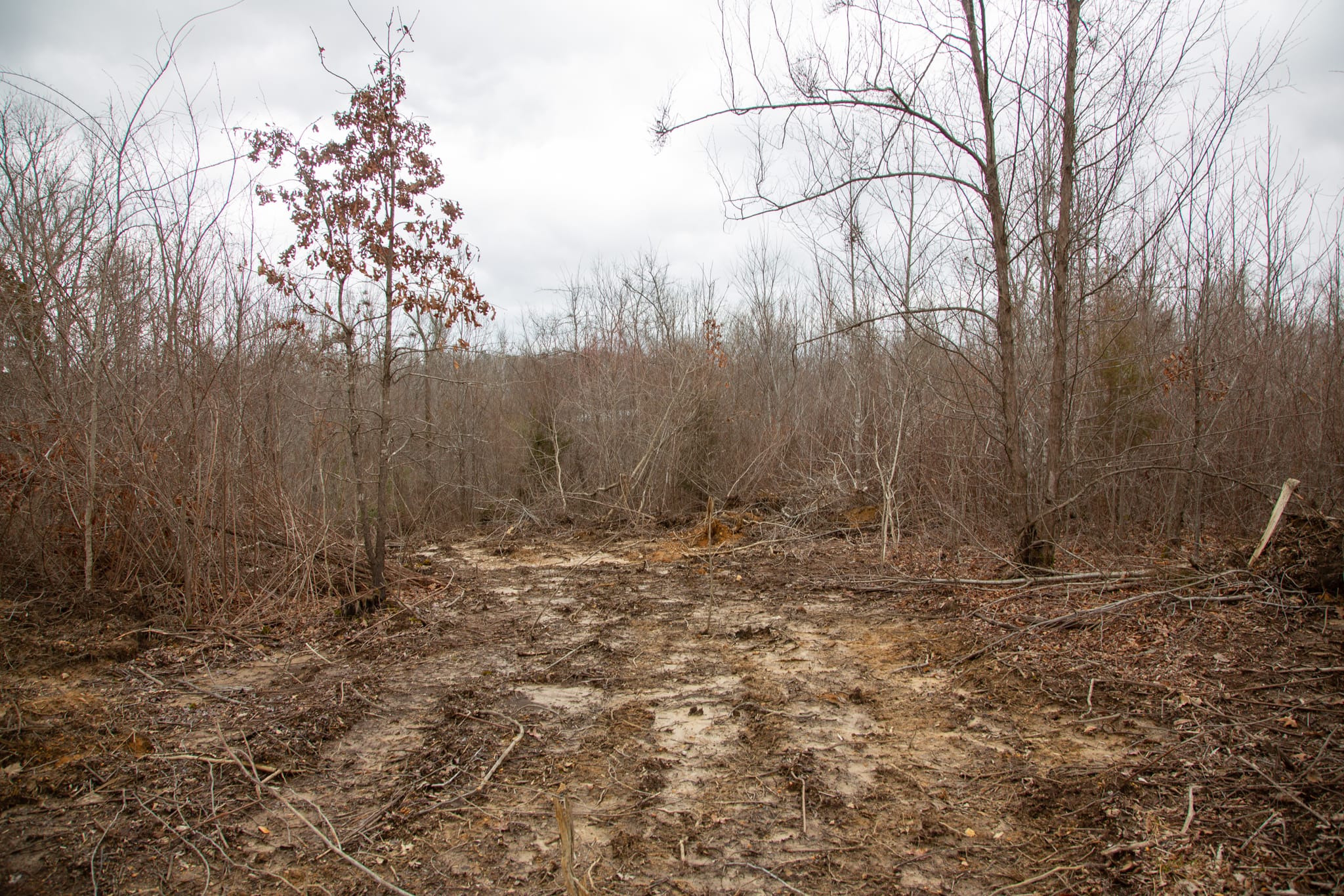 Southwind Ranch Tract 28 photo 5