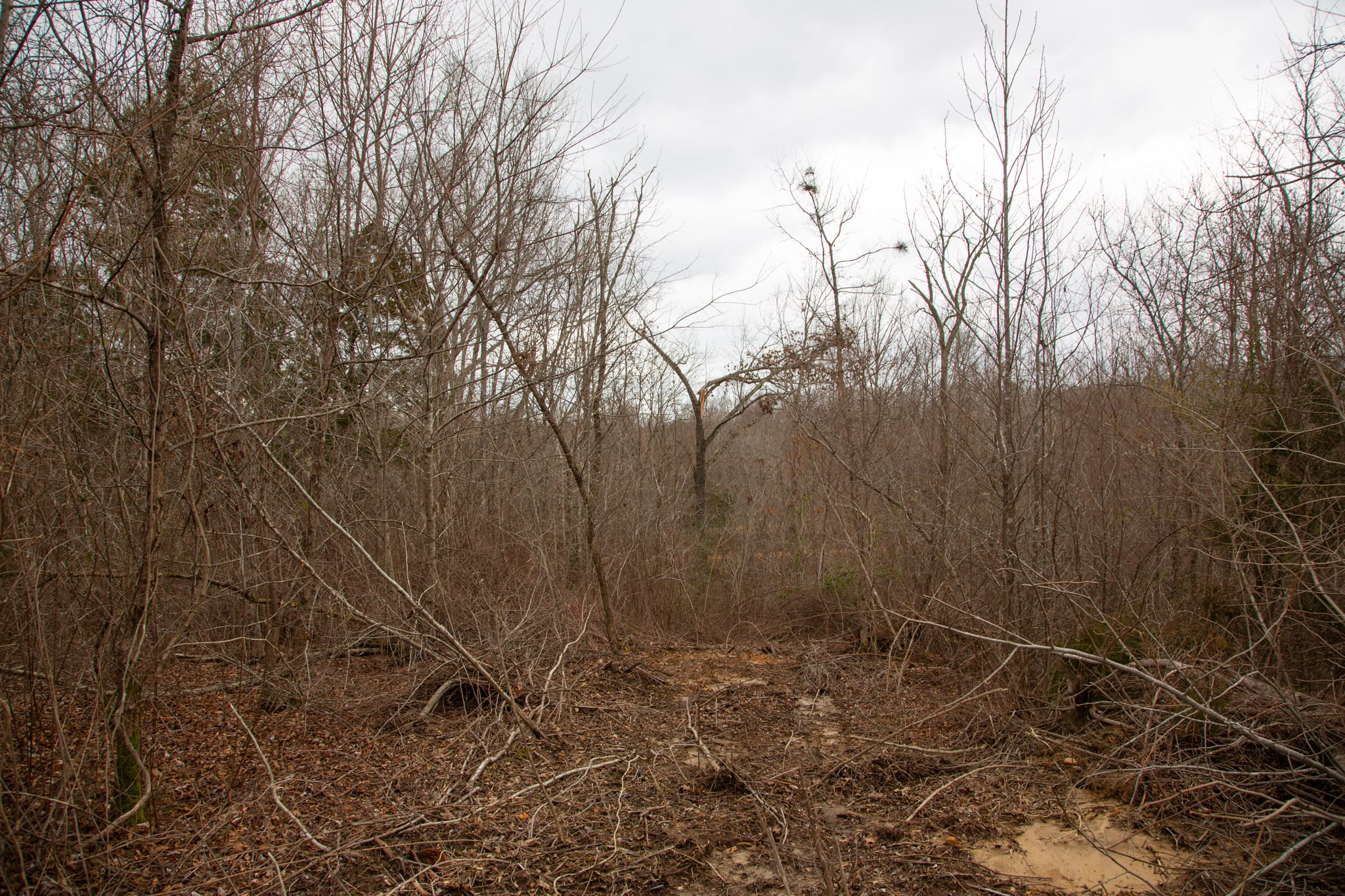 Southwind Ranch Tract 28 photo 3