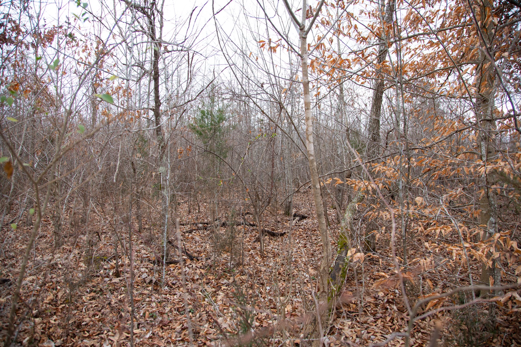 Southwind Ranch Tract 28 photo 6