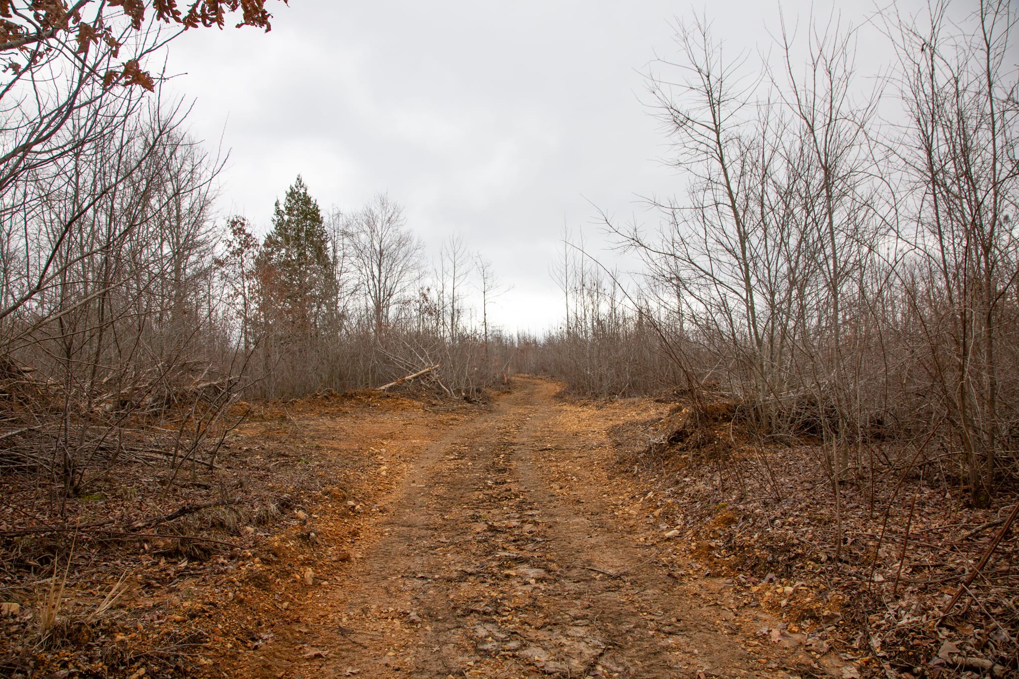 Southwind Ranch Tract 28 photo 2