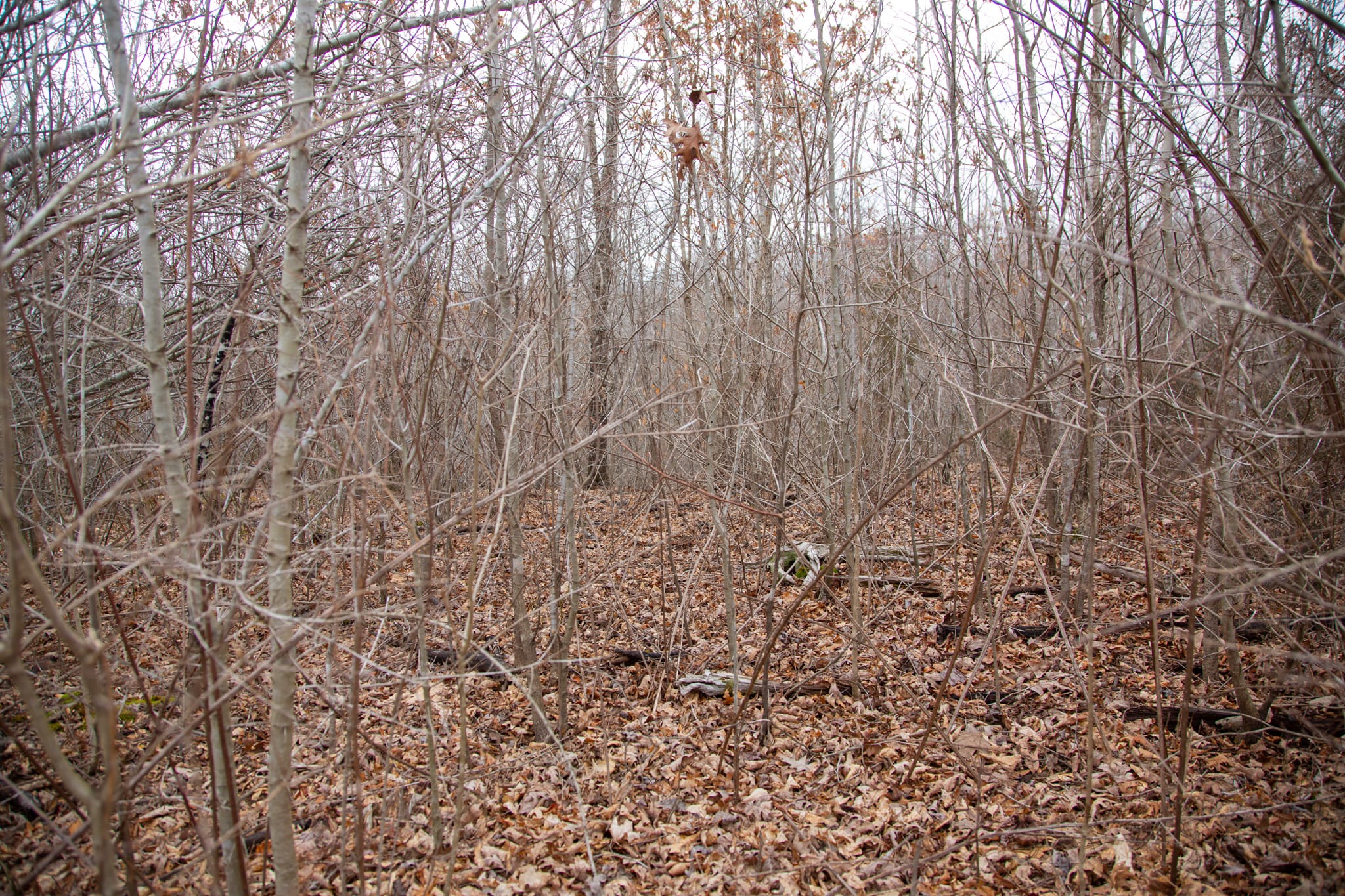 Southwind Ranch Tract 28 photo 10