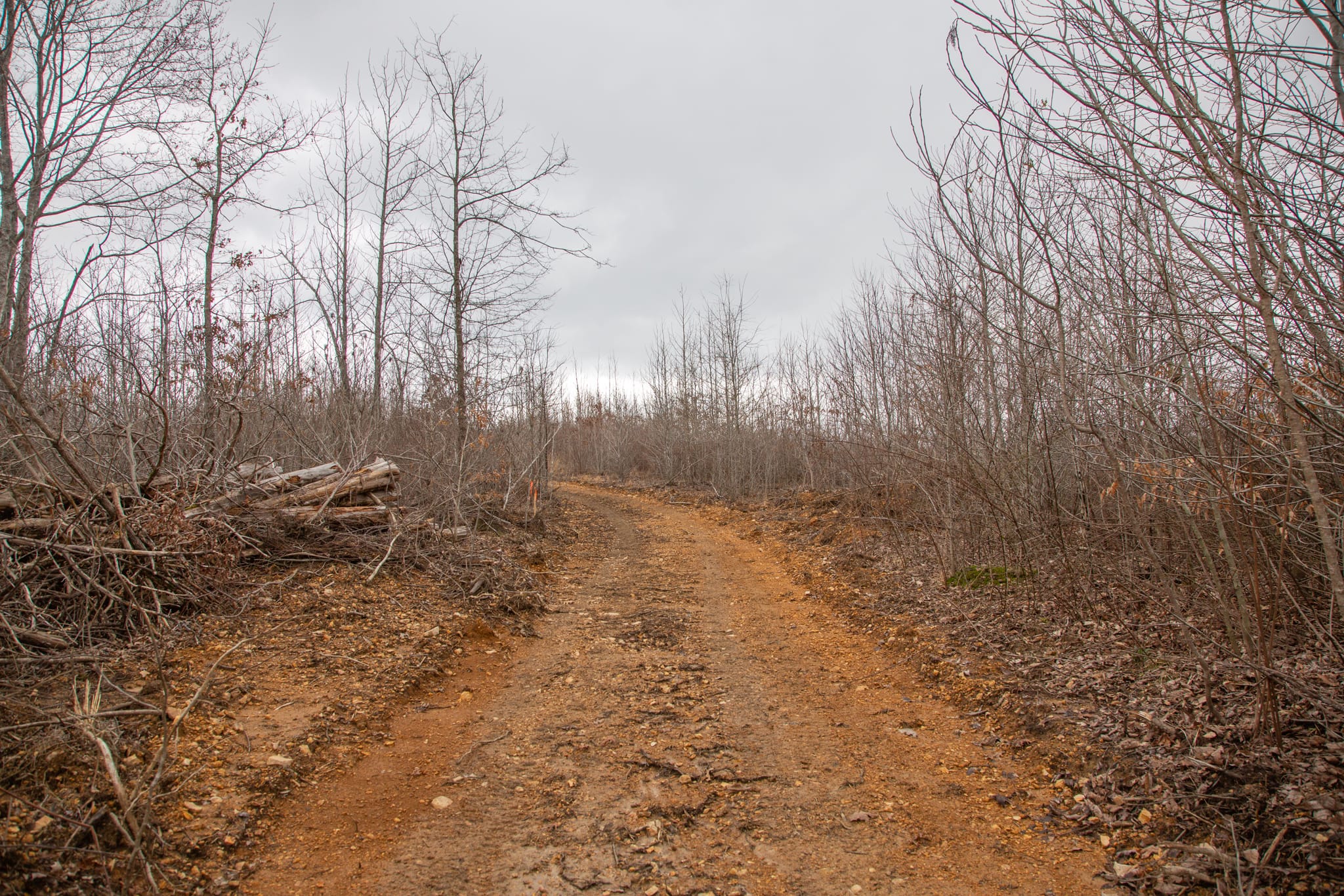 Southwind Ranch Tract 28 photo 8