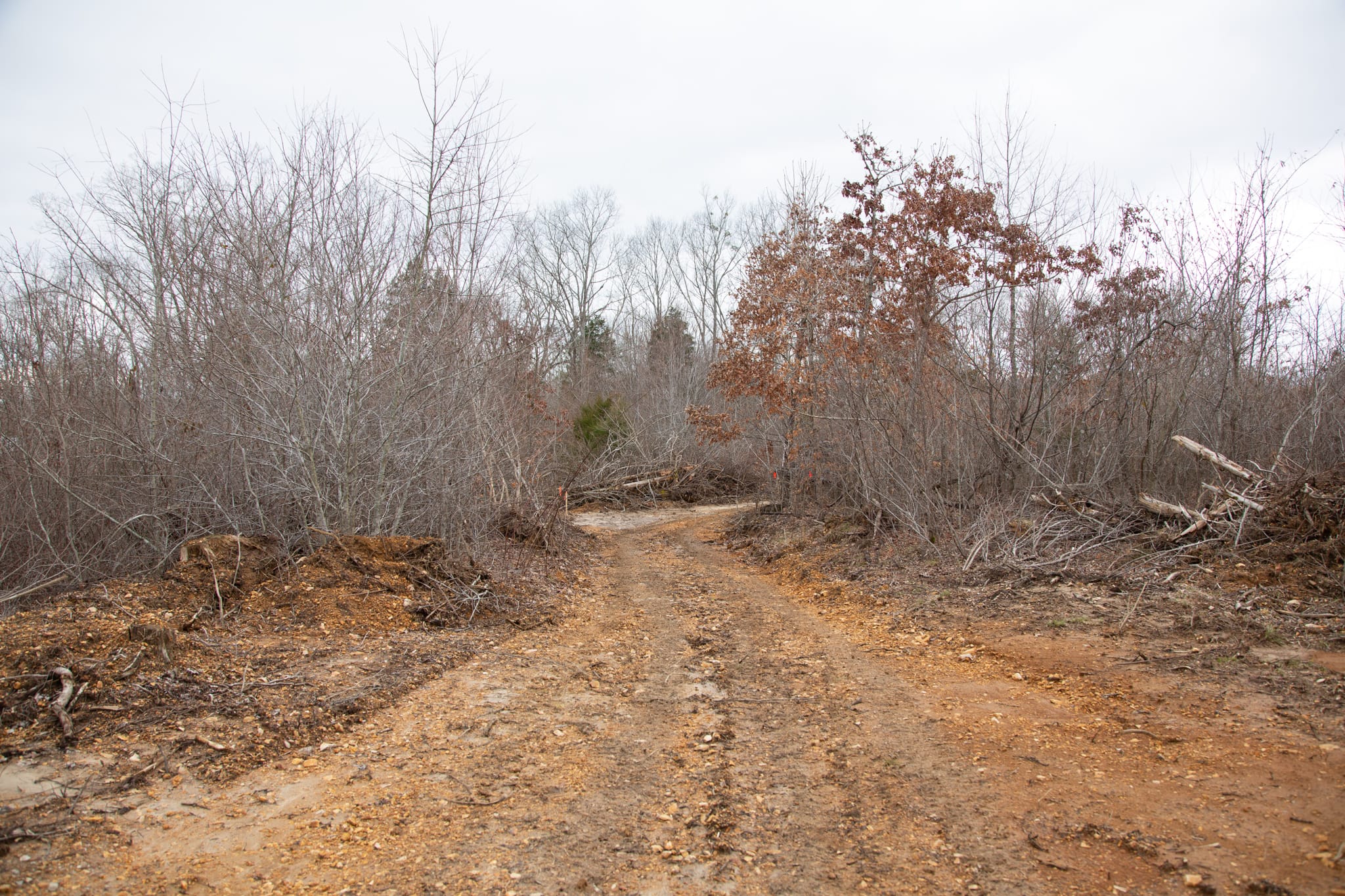 Southwind Ranch Tract 28 photo 11