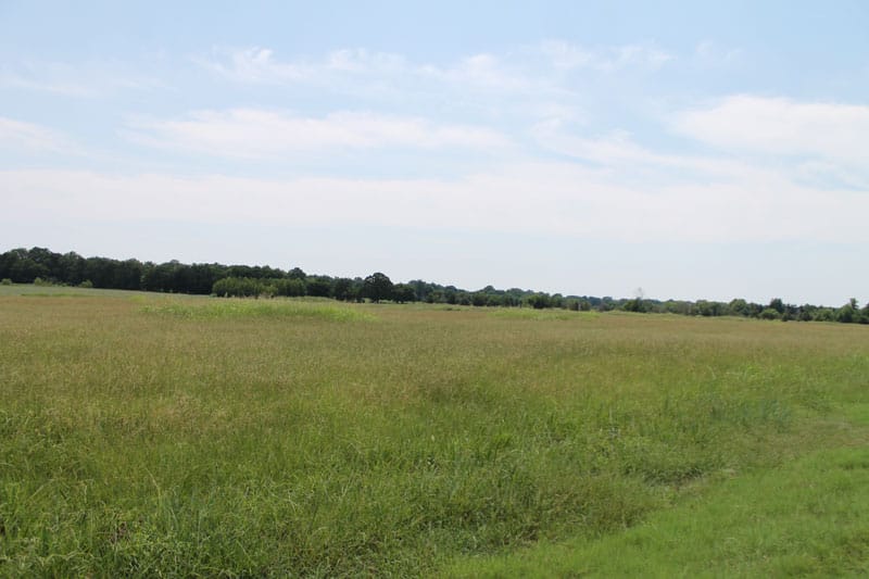 McCoy Creek Ranch Tract 4 photo 2
