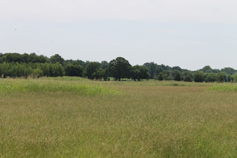 McCoy Creek Ranch Tract 4 photo 3
