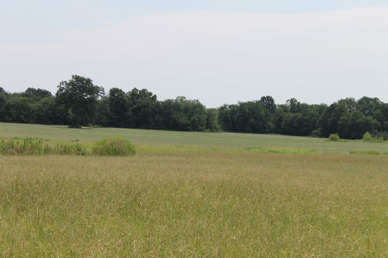 McCoy Creek Ranch Tract 4 photo 4