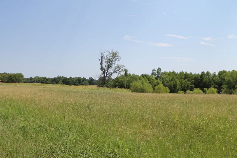 McCoy Creek Ranch Tract 4 photo 5