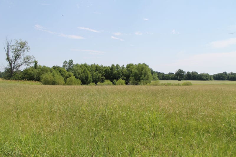 McCoy Creek Ranch Tract 4 photo 6