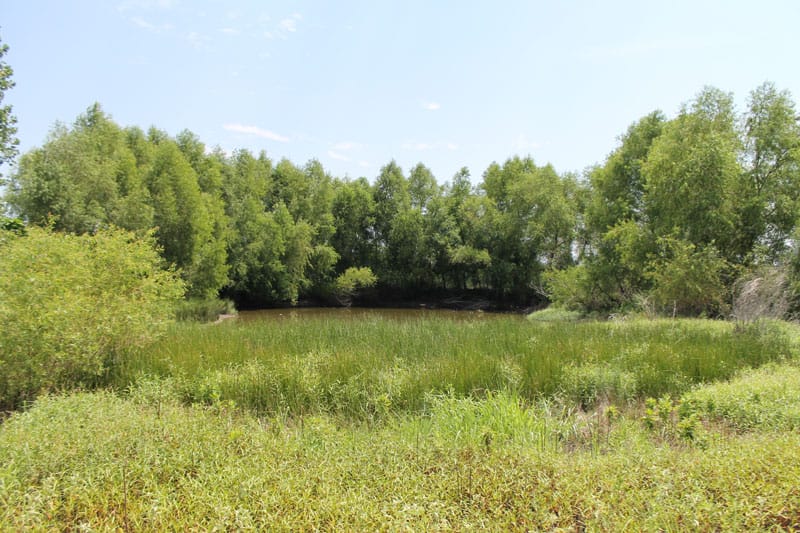 McCoy Creek Ranch Tract 4 photo 8