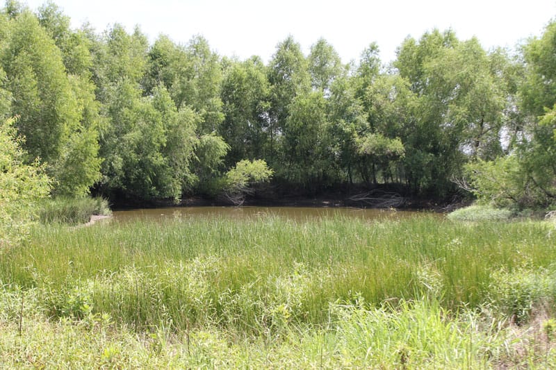 McCoy Creek Ranch Tract 4 photo 9